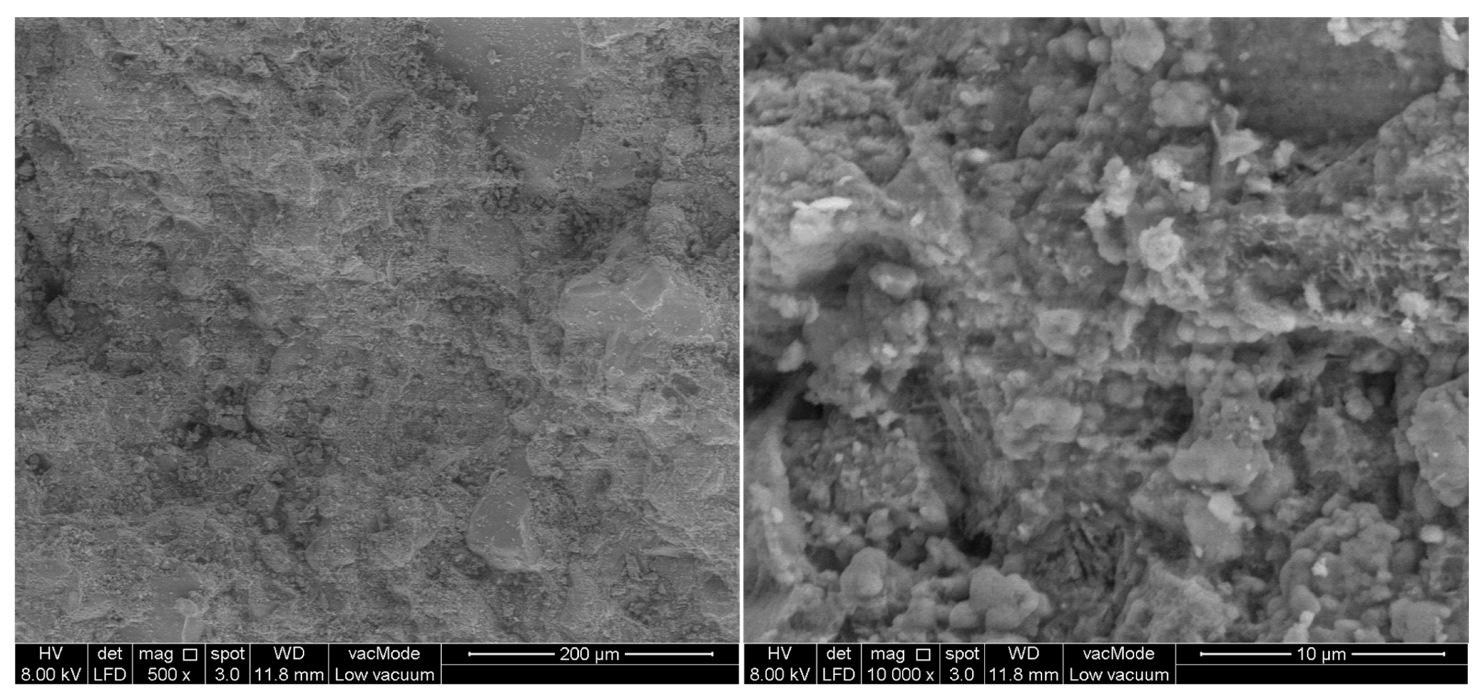 Coatings 15 01223 g018