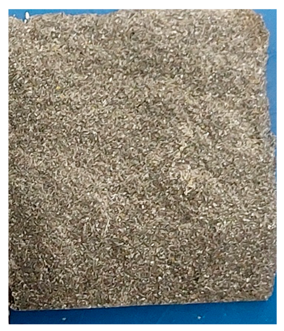 Coatings 15 01223 g019