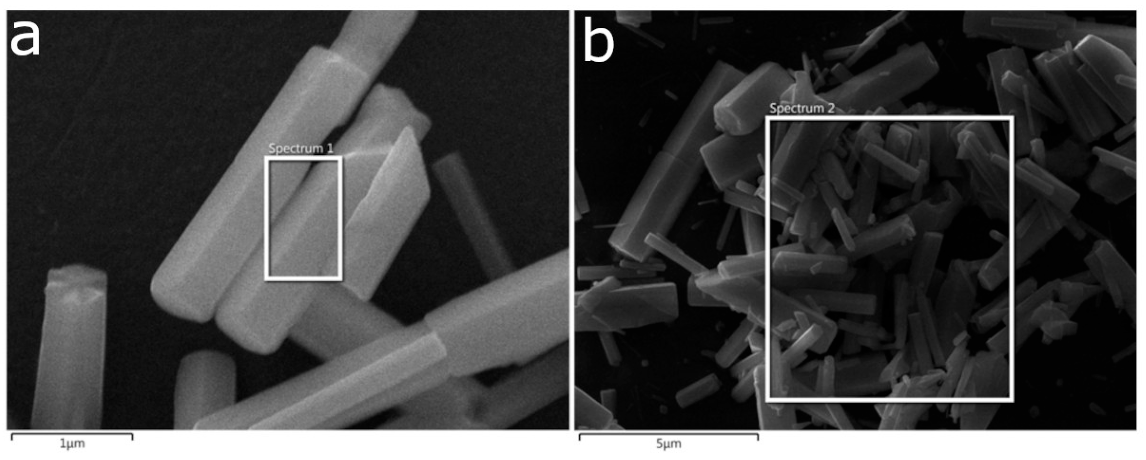 Coatings 15 01225 g002