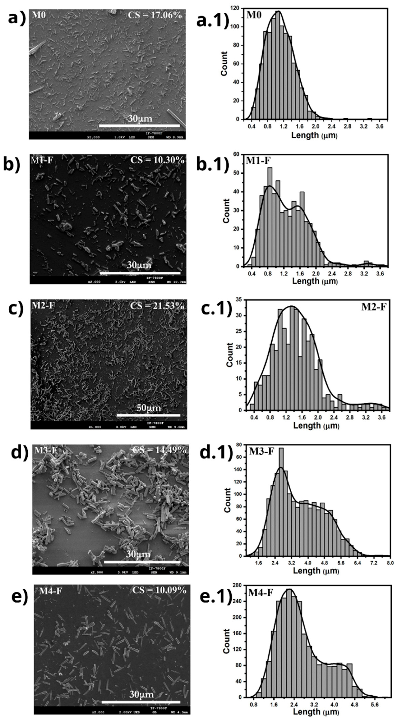 Coatings 15 01225 g003