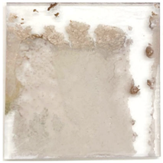 Coatings 15 01231 i001