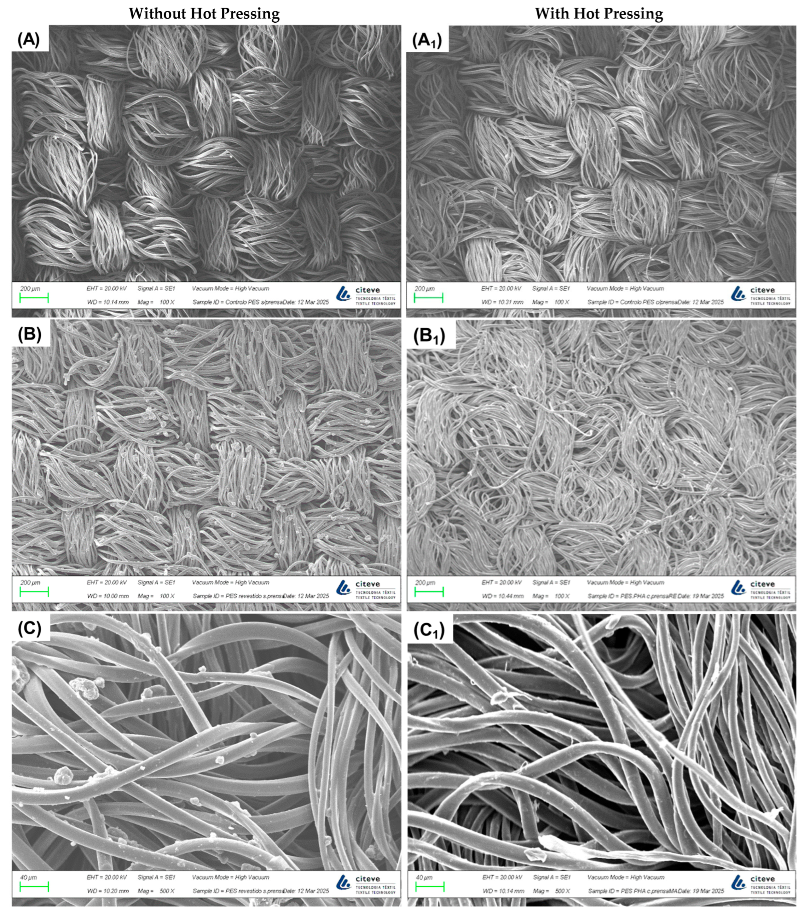 Coatings 15 01237 g001a