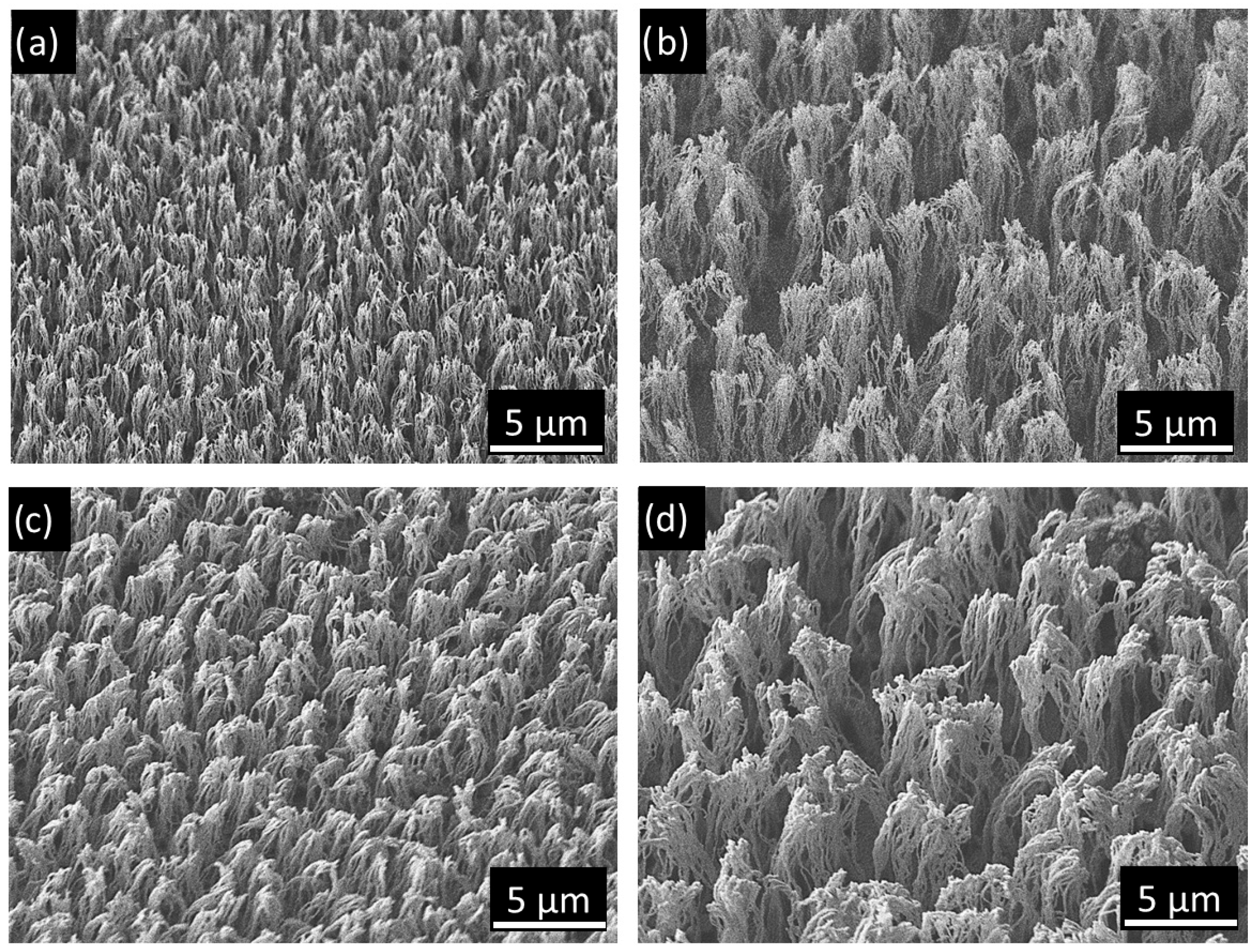 Coatings 15 01247 g002
