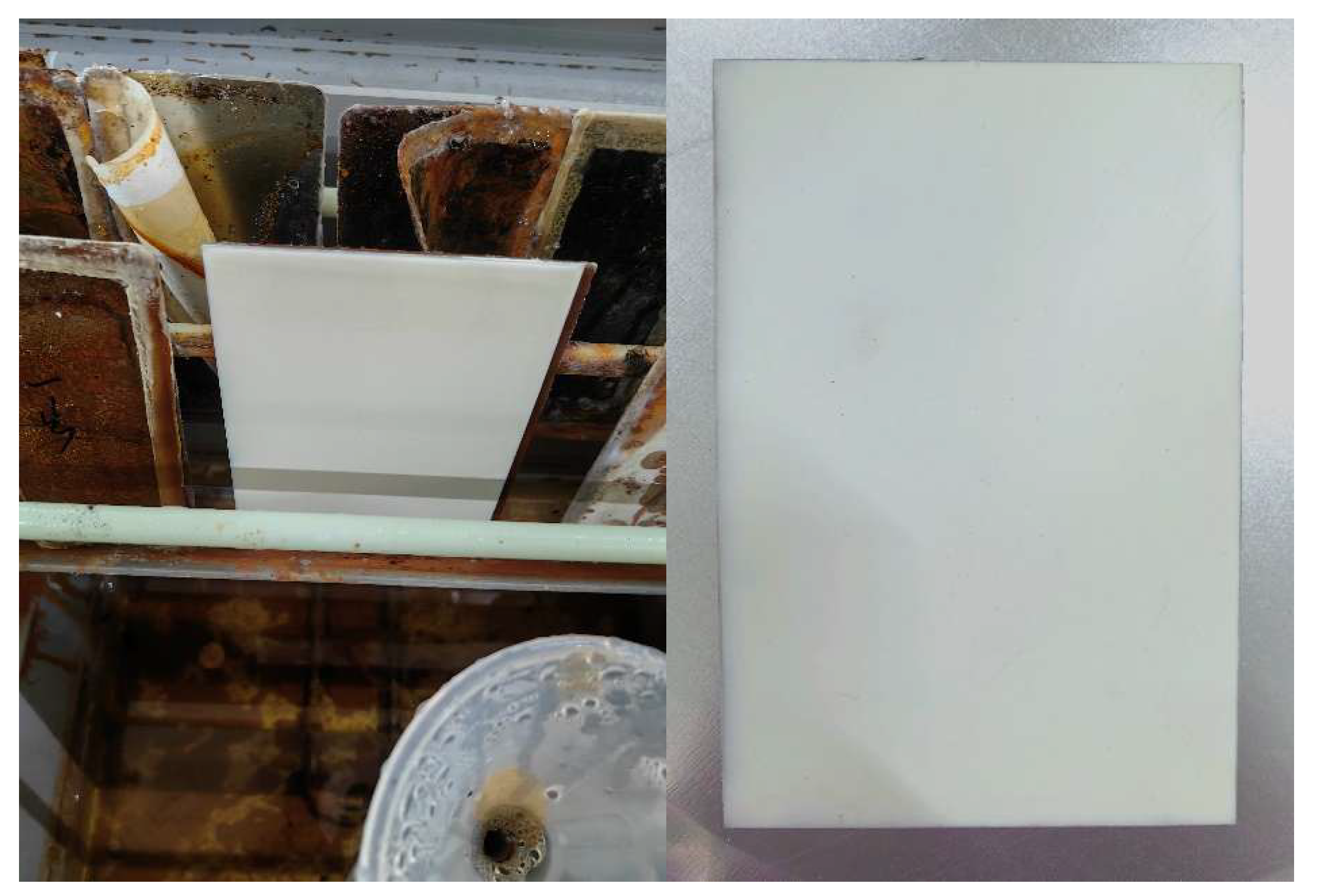 Coatings 15 01253 g008