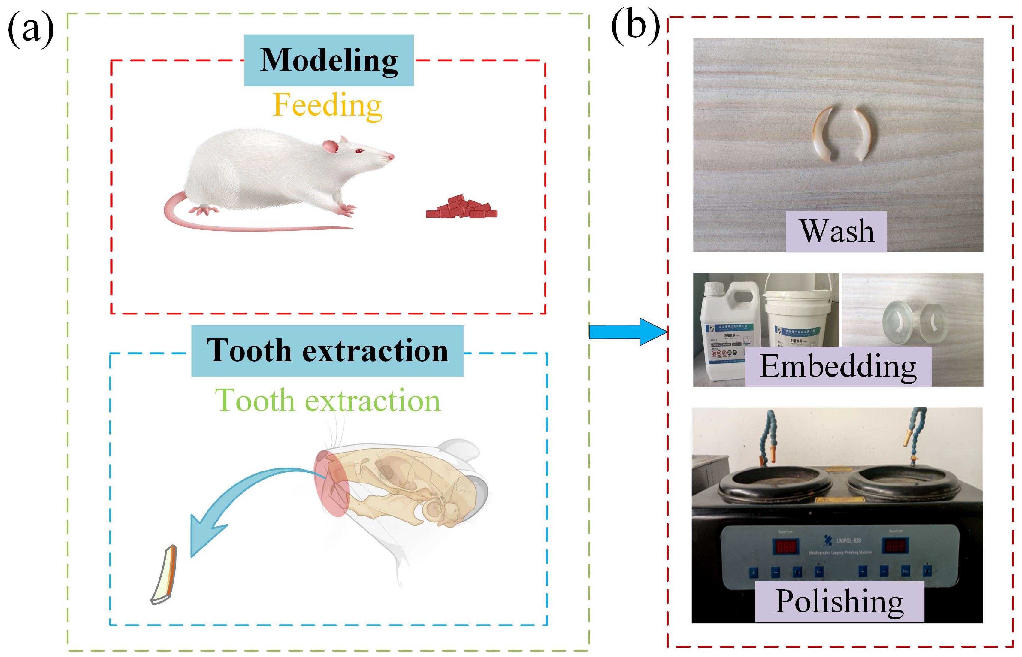 Coatings 15 01255 g001