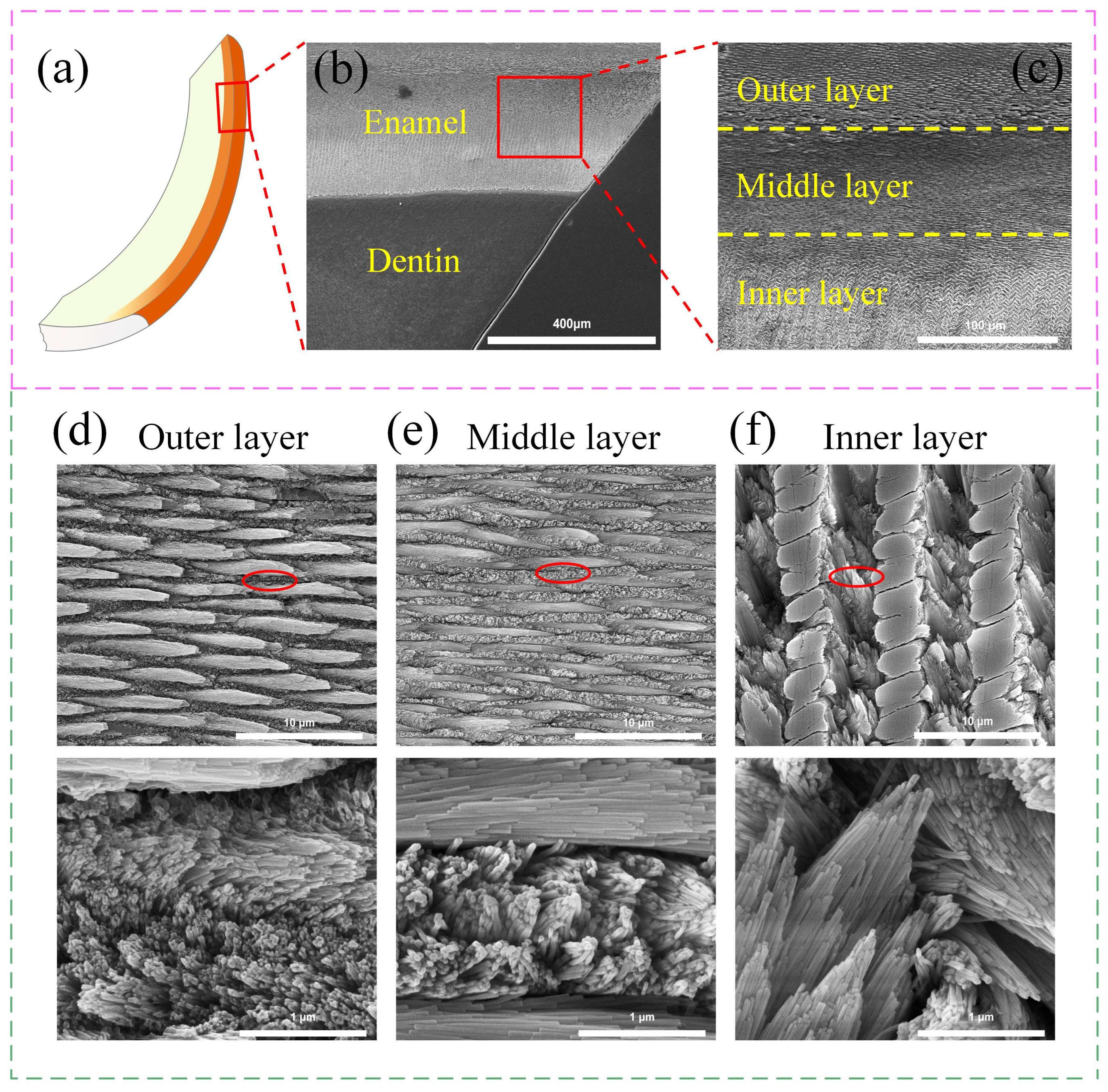 Coatings 15 01255 g002