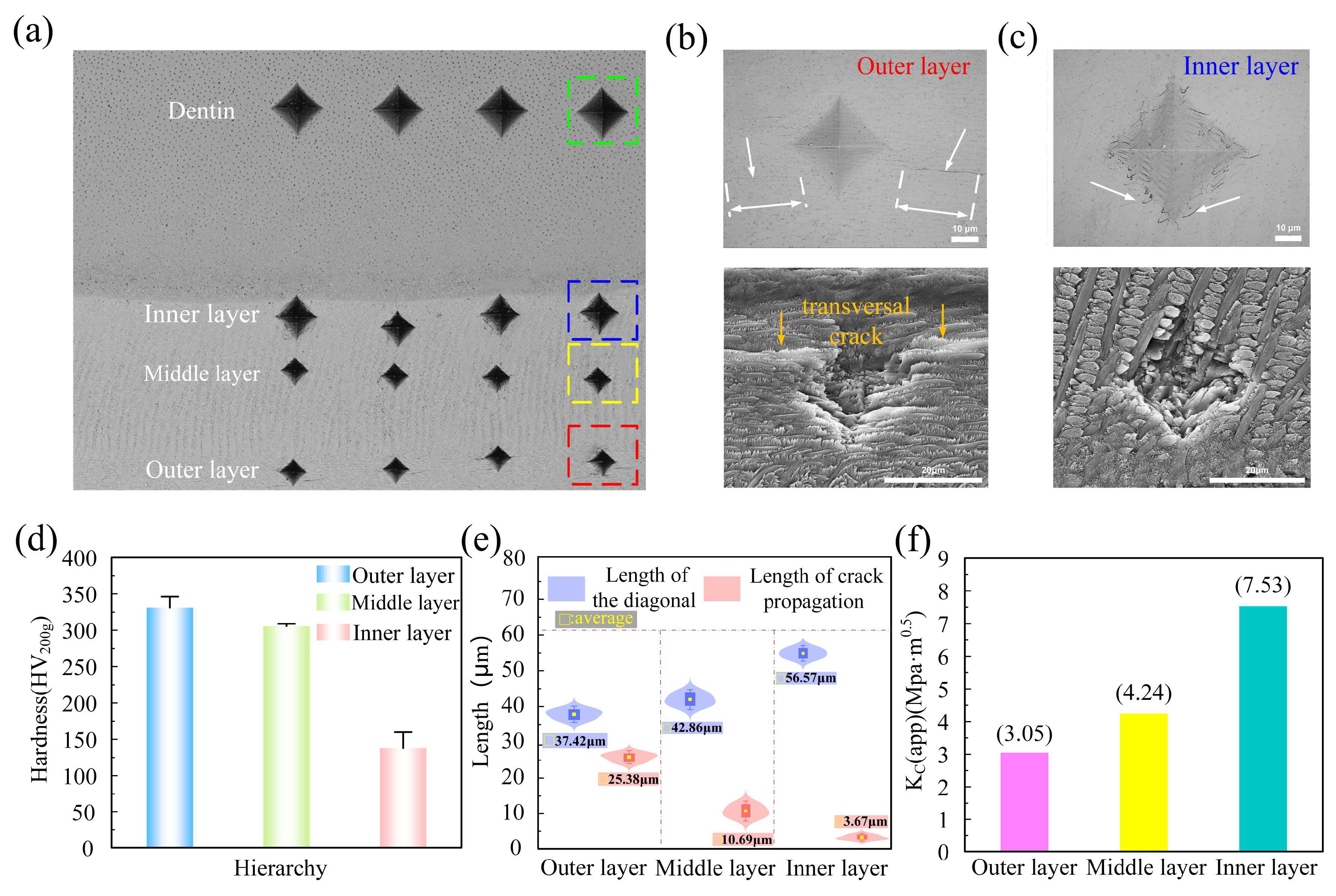 Coatings 15 01255 g005