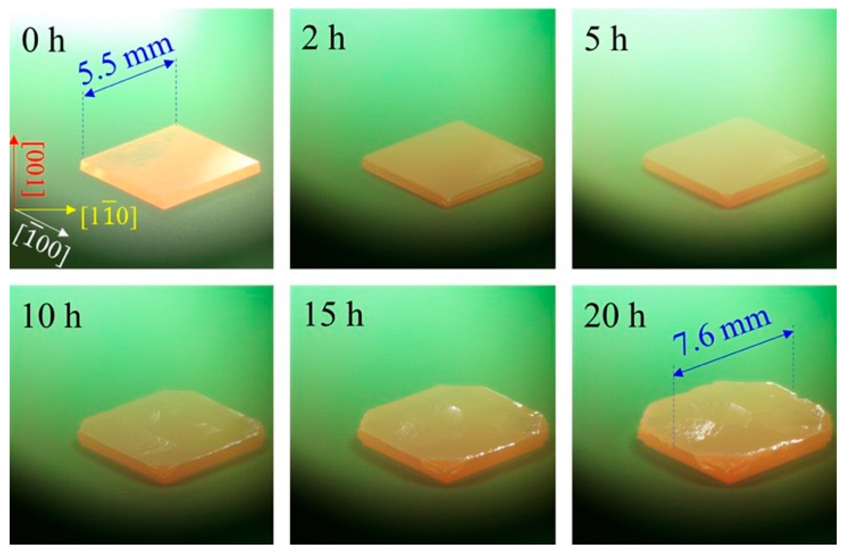 Coatings 15 01256 g002