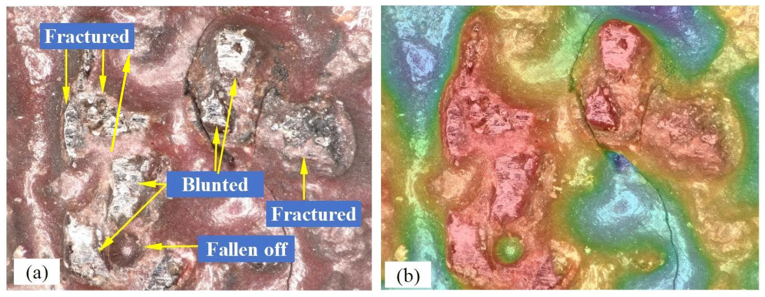 Coatings 15 01257 g003 Coatings 15 01257 g003