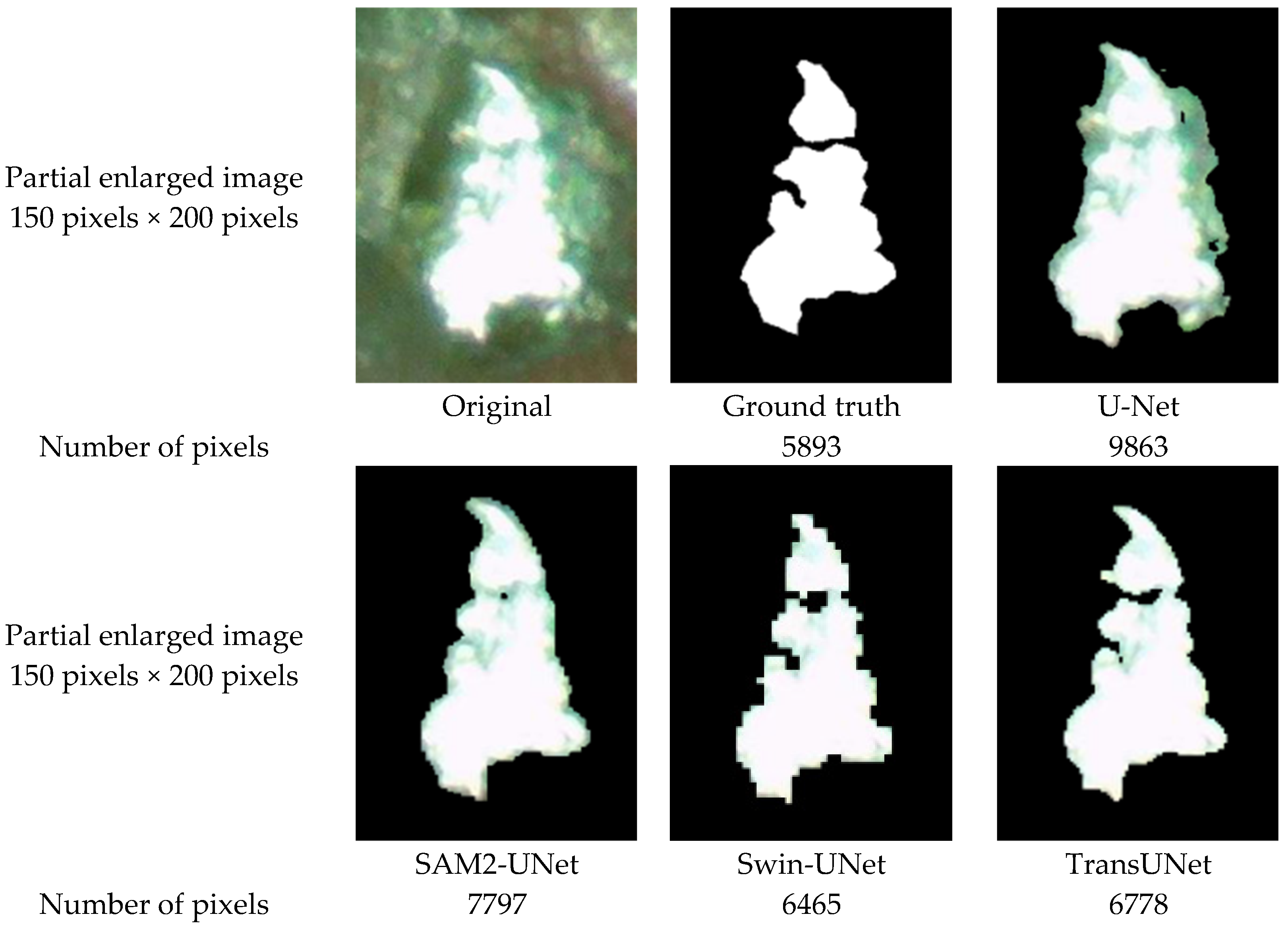 Coatings 15 01257 g011 Coatings 15 01257 g011