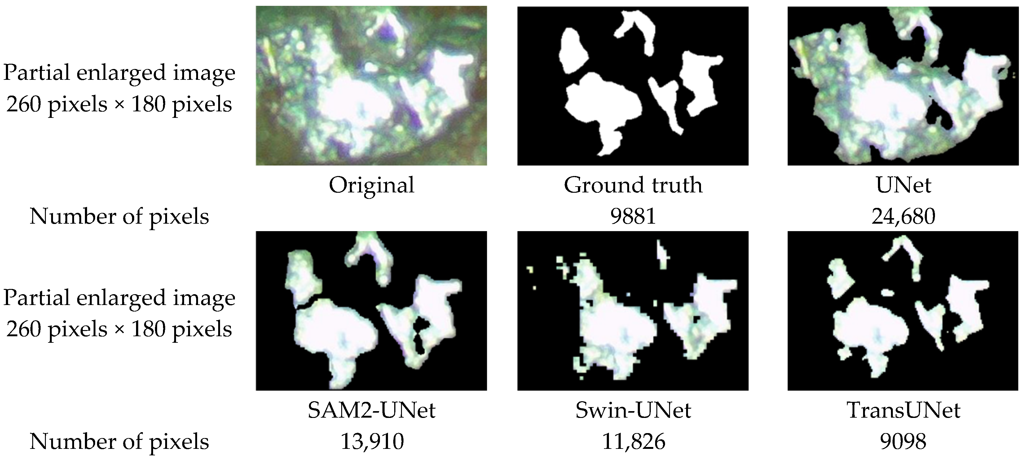 Coatings 15 01257 g012 Coatings 15 01257 g012