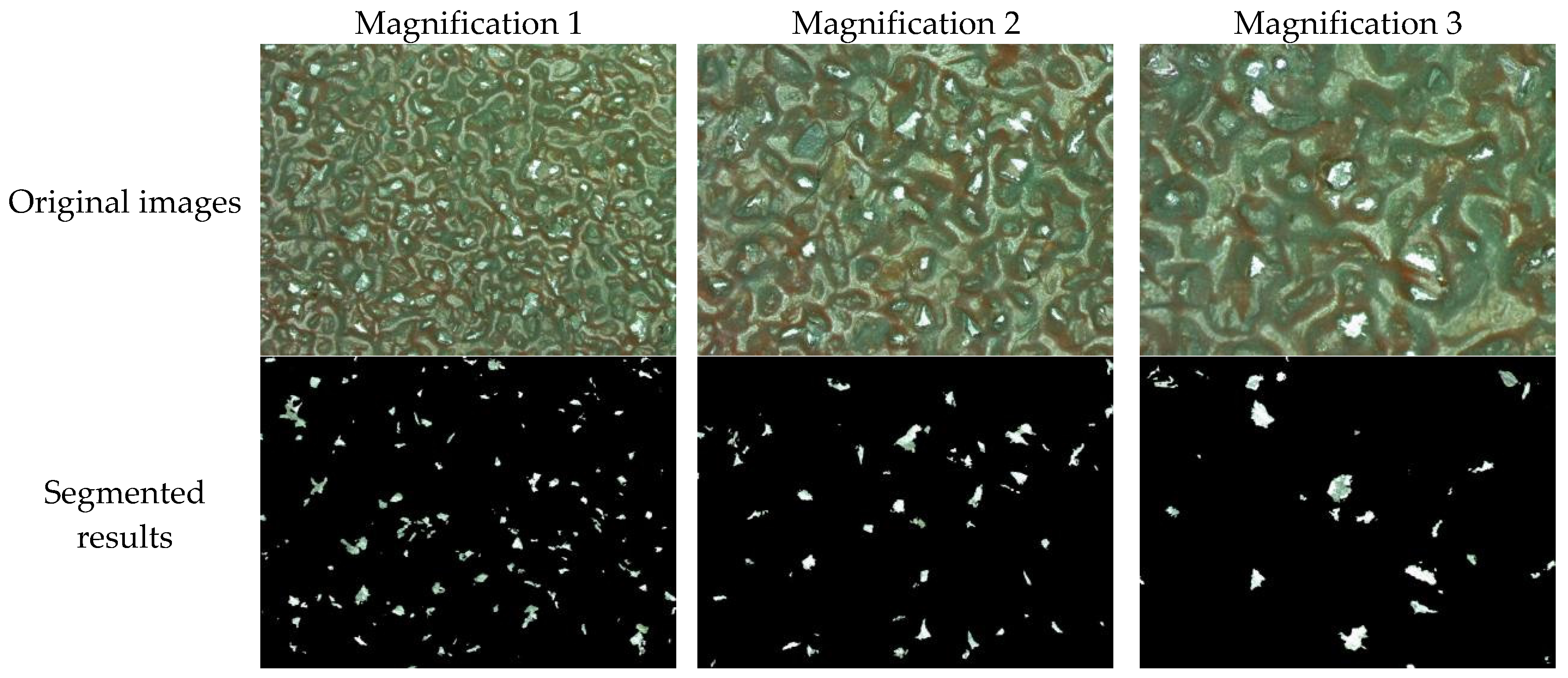 Coatings 15 01257 g013 Coatings 15 01257 g013