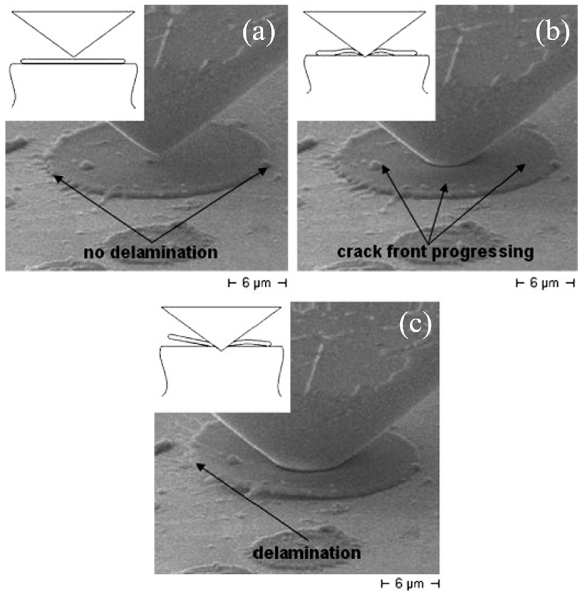 Coatings 15 01259 g003 Coatings 15 01259 g003