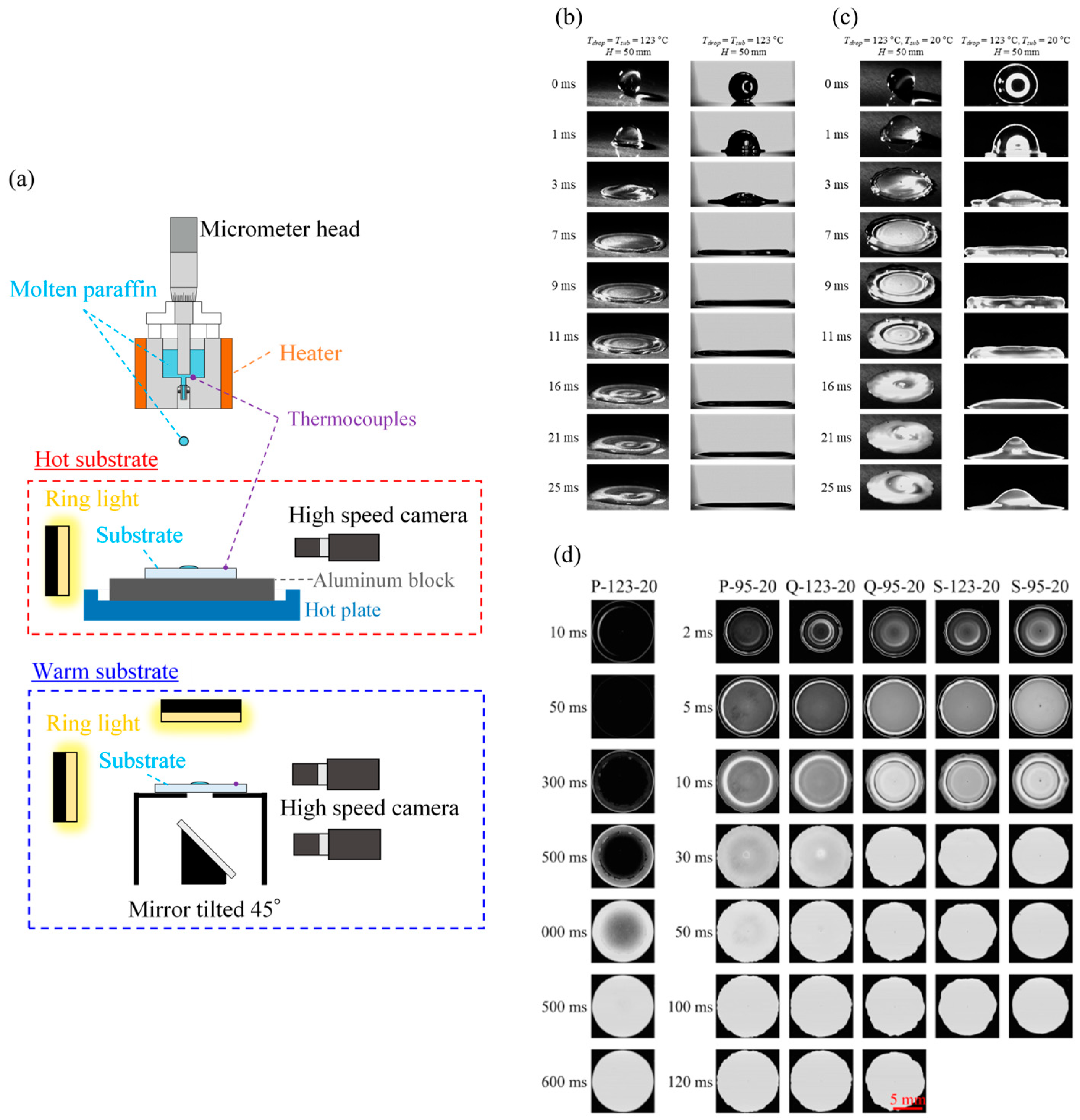 Coatings 15 01259 g024 Coatings 15 01259 g024