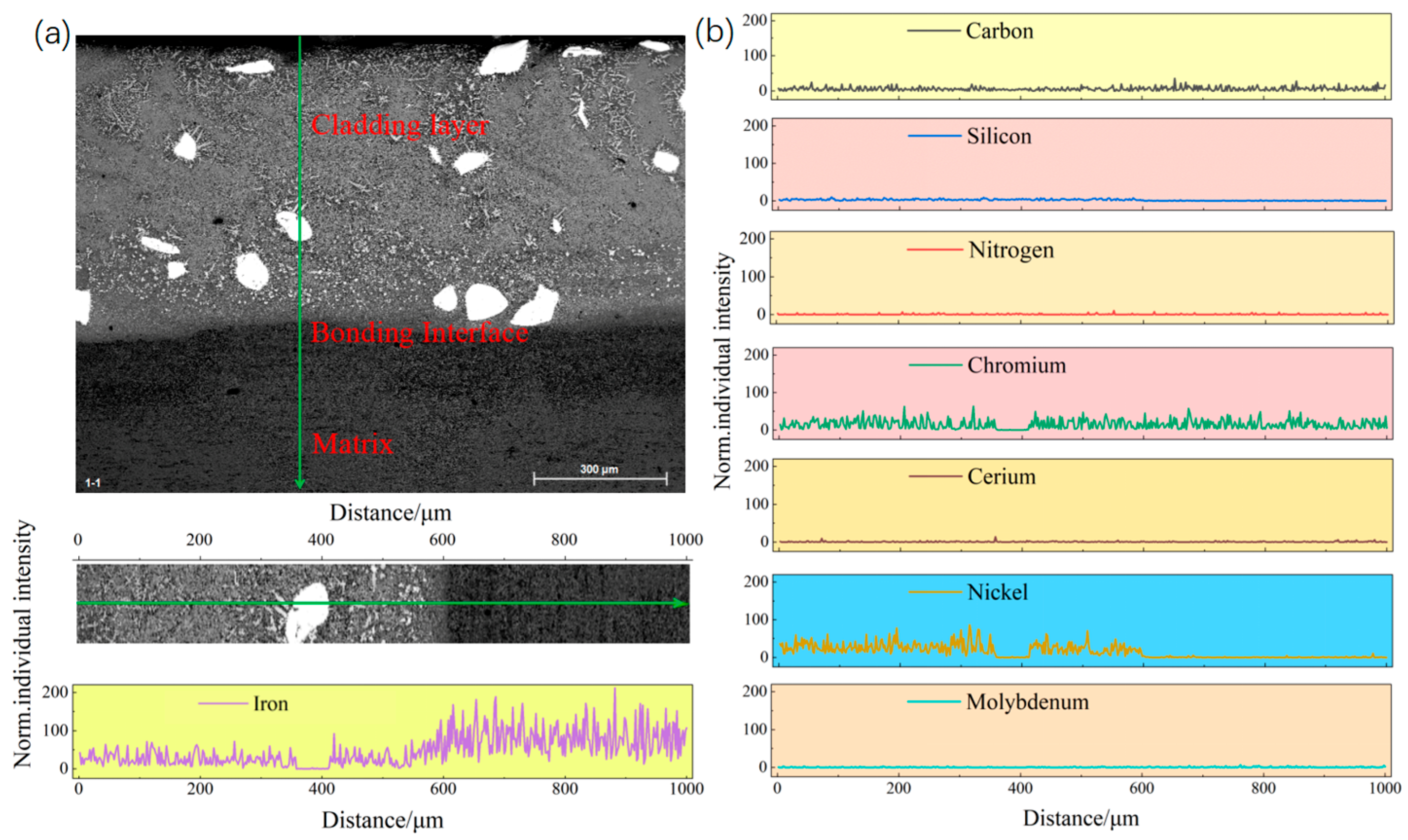 Coatings 15 01263 g004
