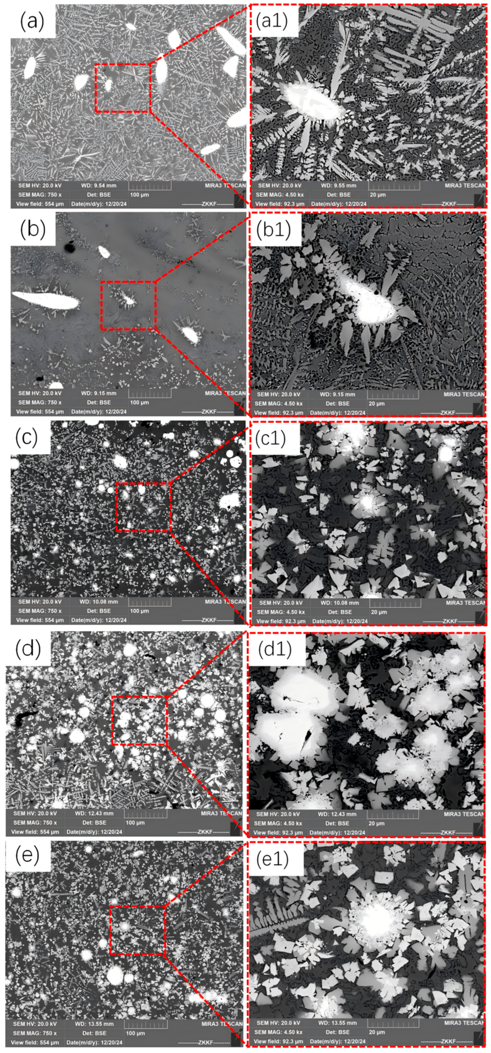 Coatings 15 01263 g006