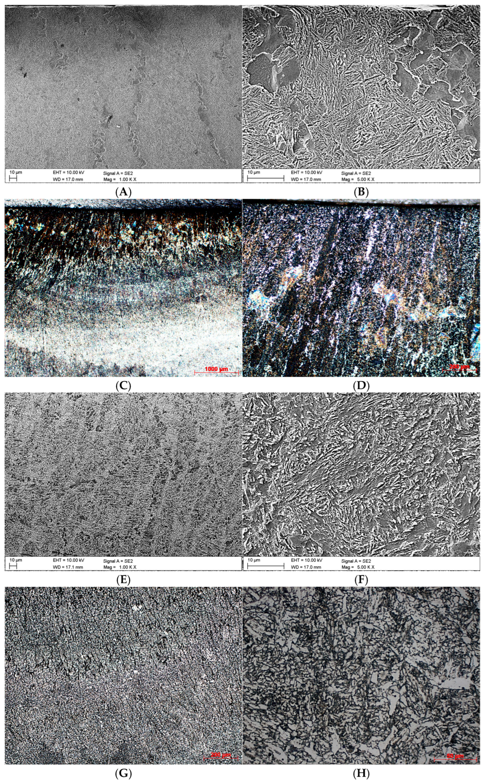 Coatings 15 01265 g002 Coatings 15 01265 g002