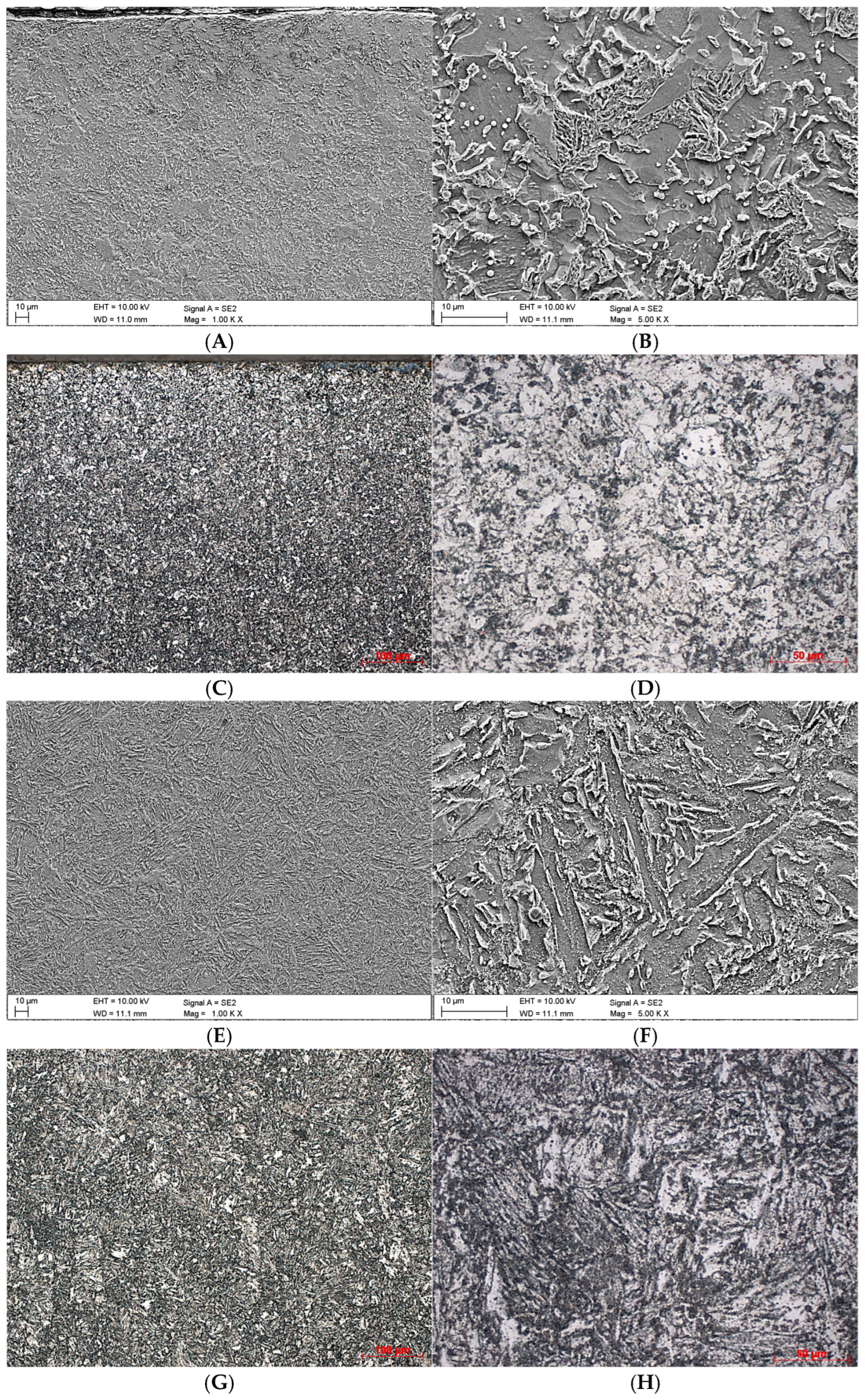 Coatings 15 01265 g003 Coatings 15 01265 g003
