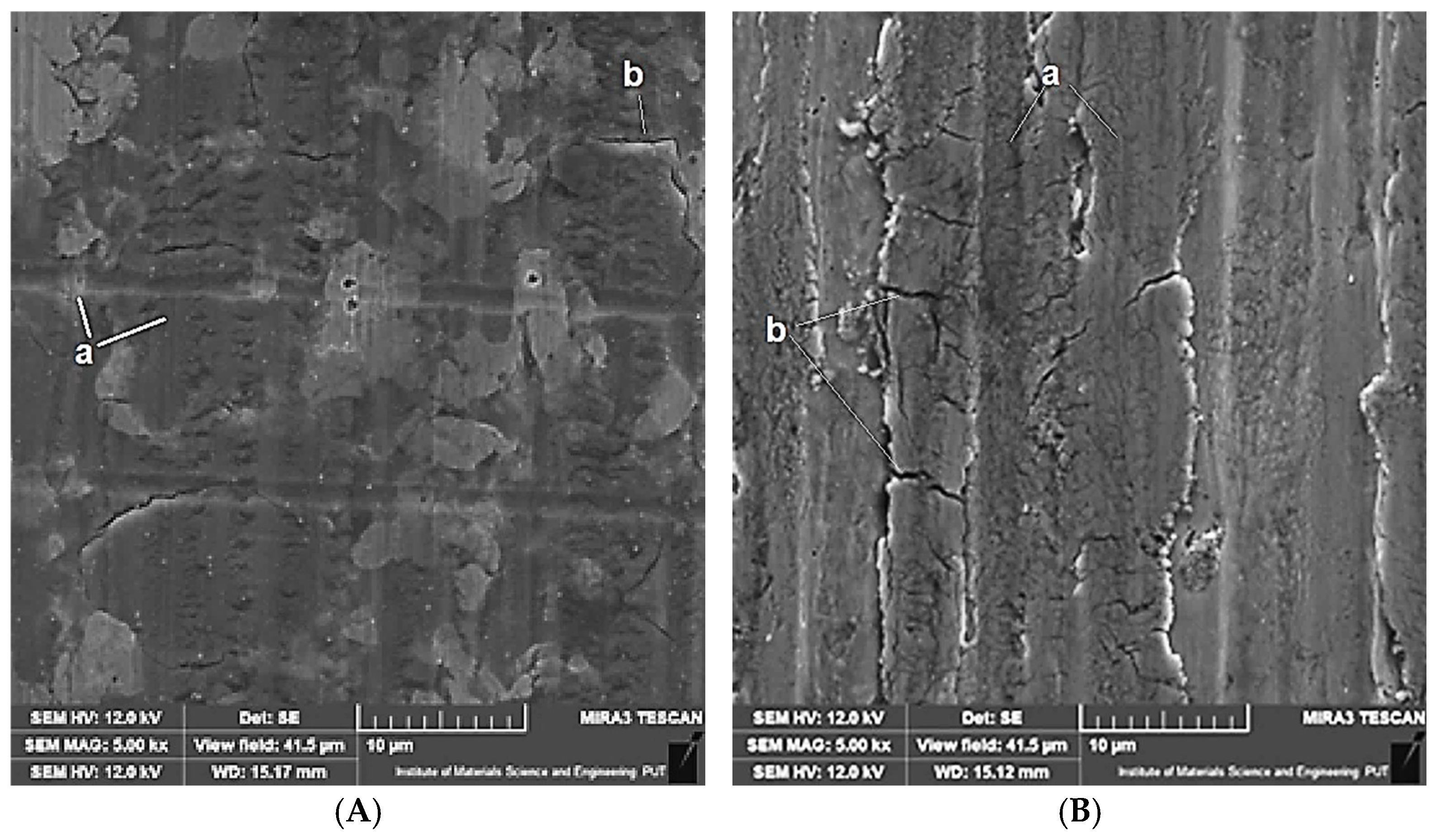 Coatings 15 01265 g008 Coatings 15 01265 g008
