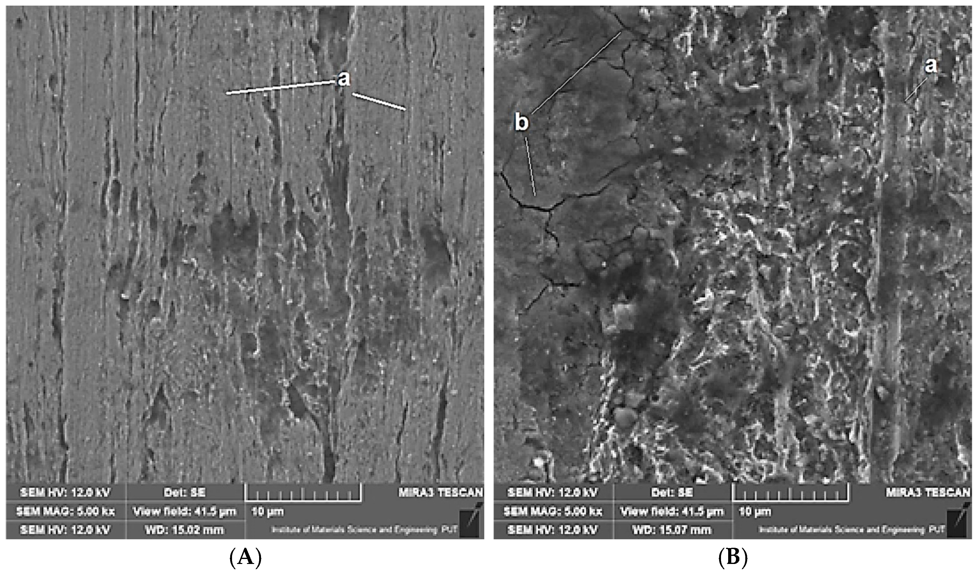 Coatings 15 01265 g009 Coatings 15 01265 g009