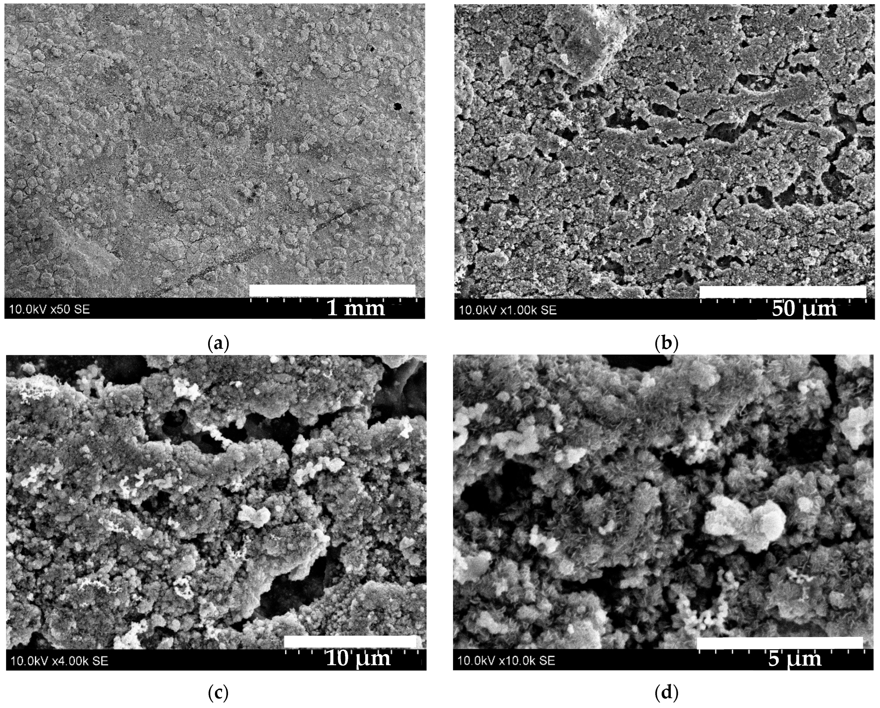 Coatings 15 01266 g007