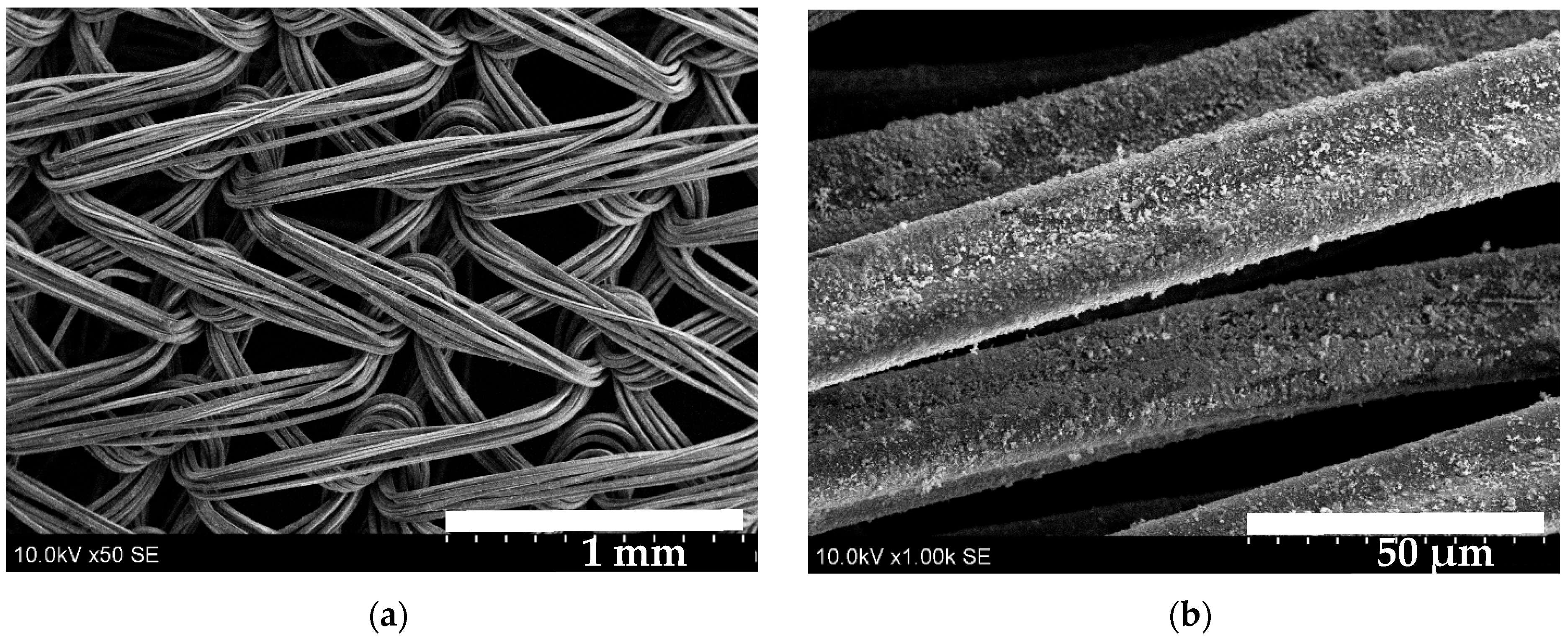 Coatings 15 01266 g008a