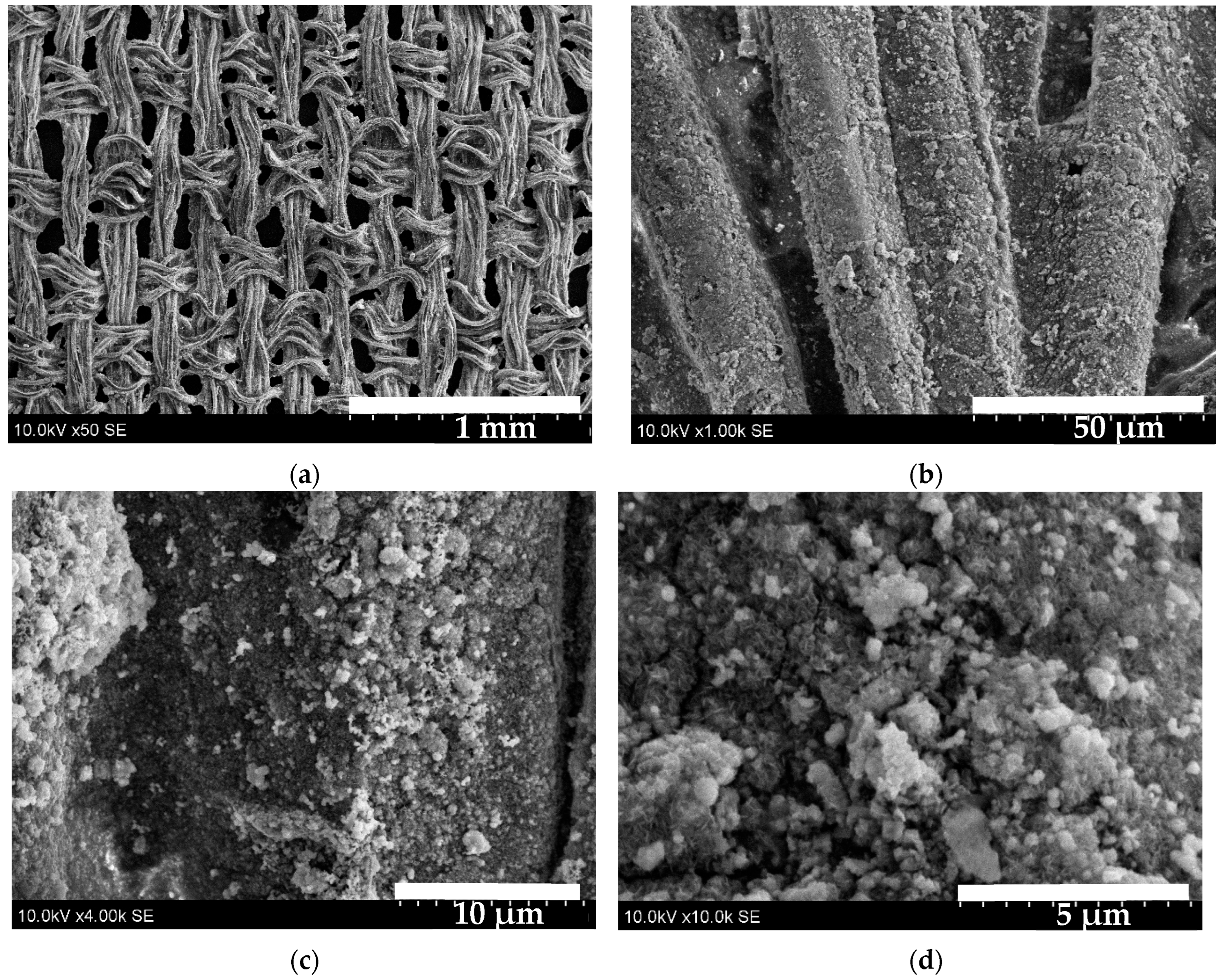 Coatings 15 01266 g009