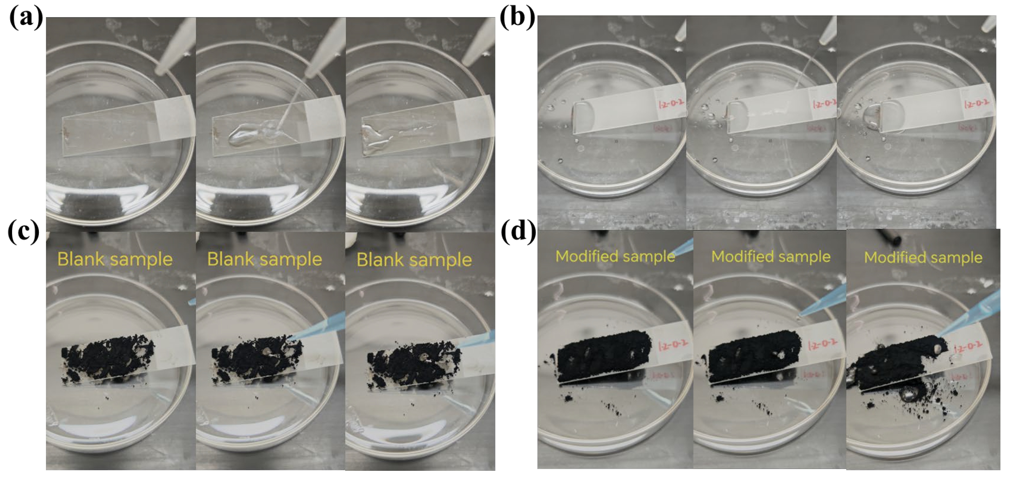 Coatings 15 01267 g010