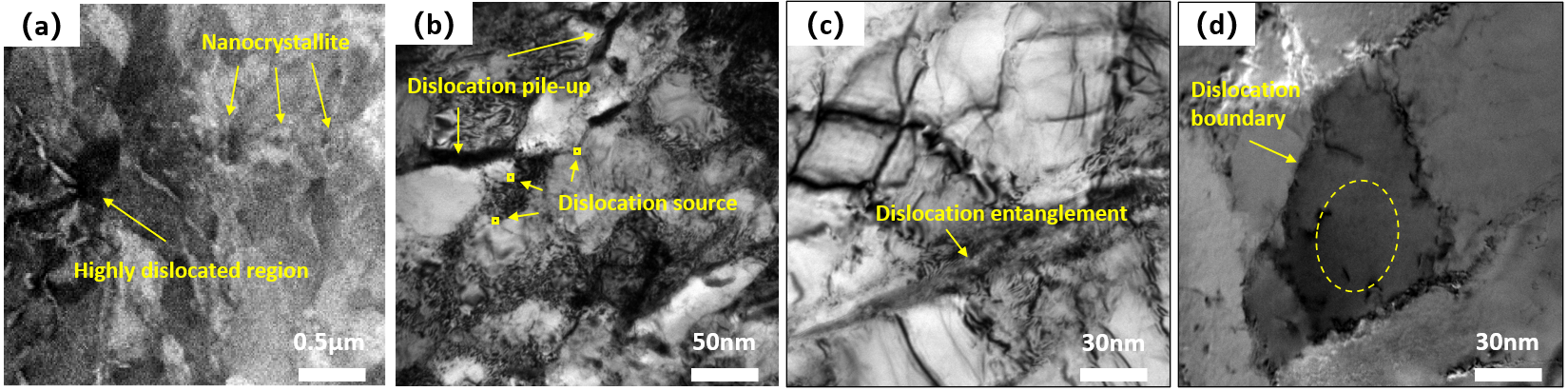 Coatings 15 01270 g008