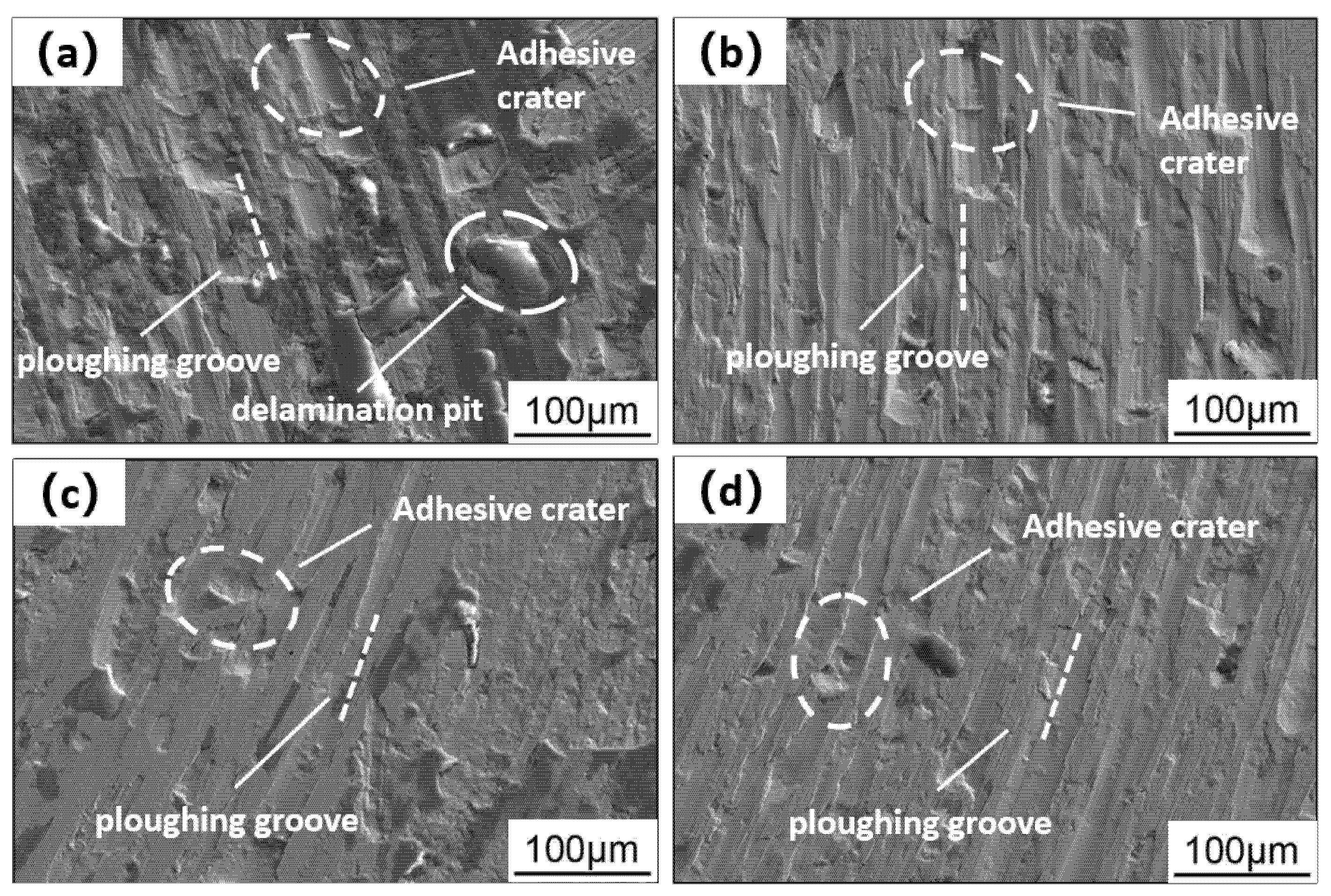 Coatings 15 01270 g011