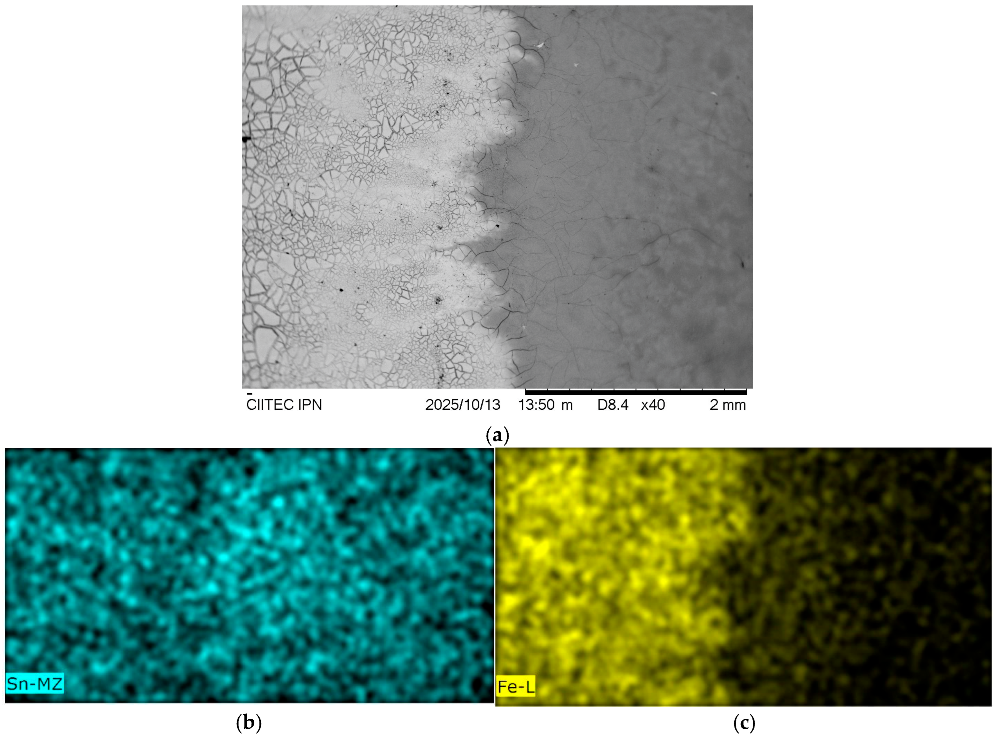 Coatings 15 01277 g009