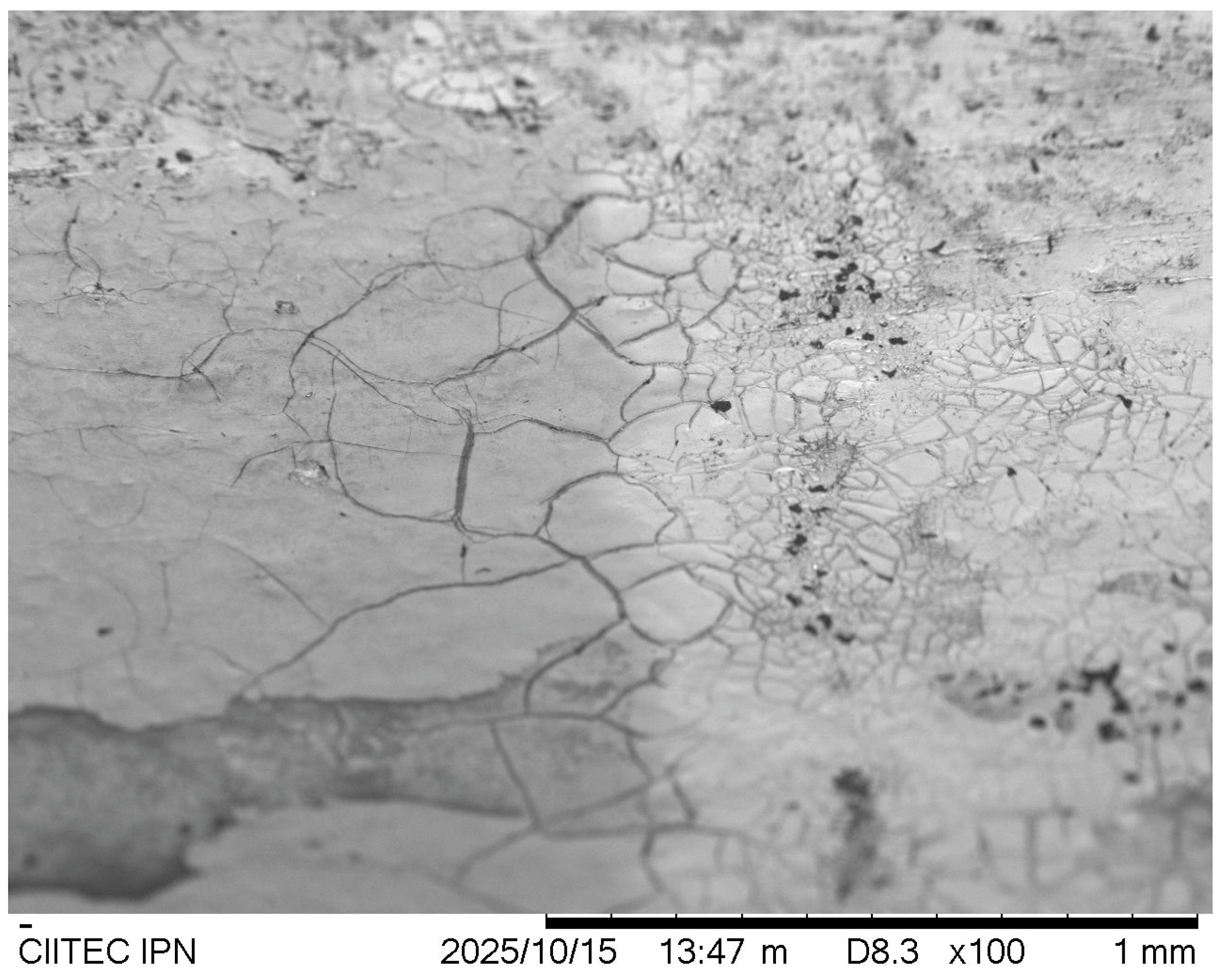 Coatings 15 01277 g011
