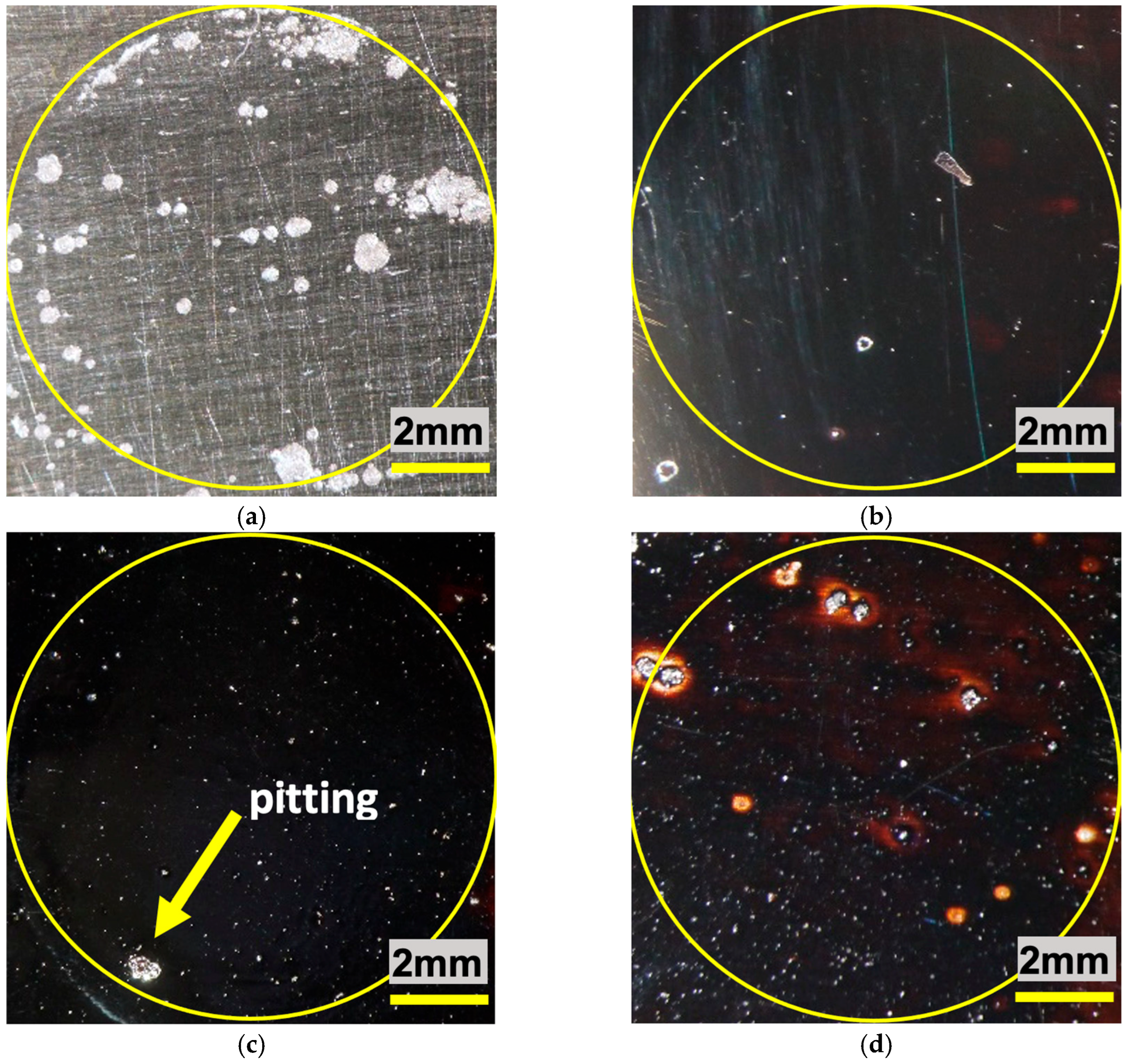 Coatings 15 01277 g012