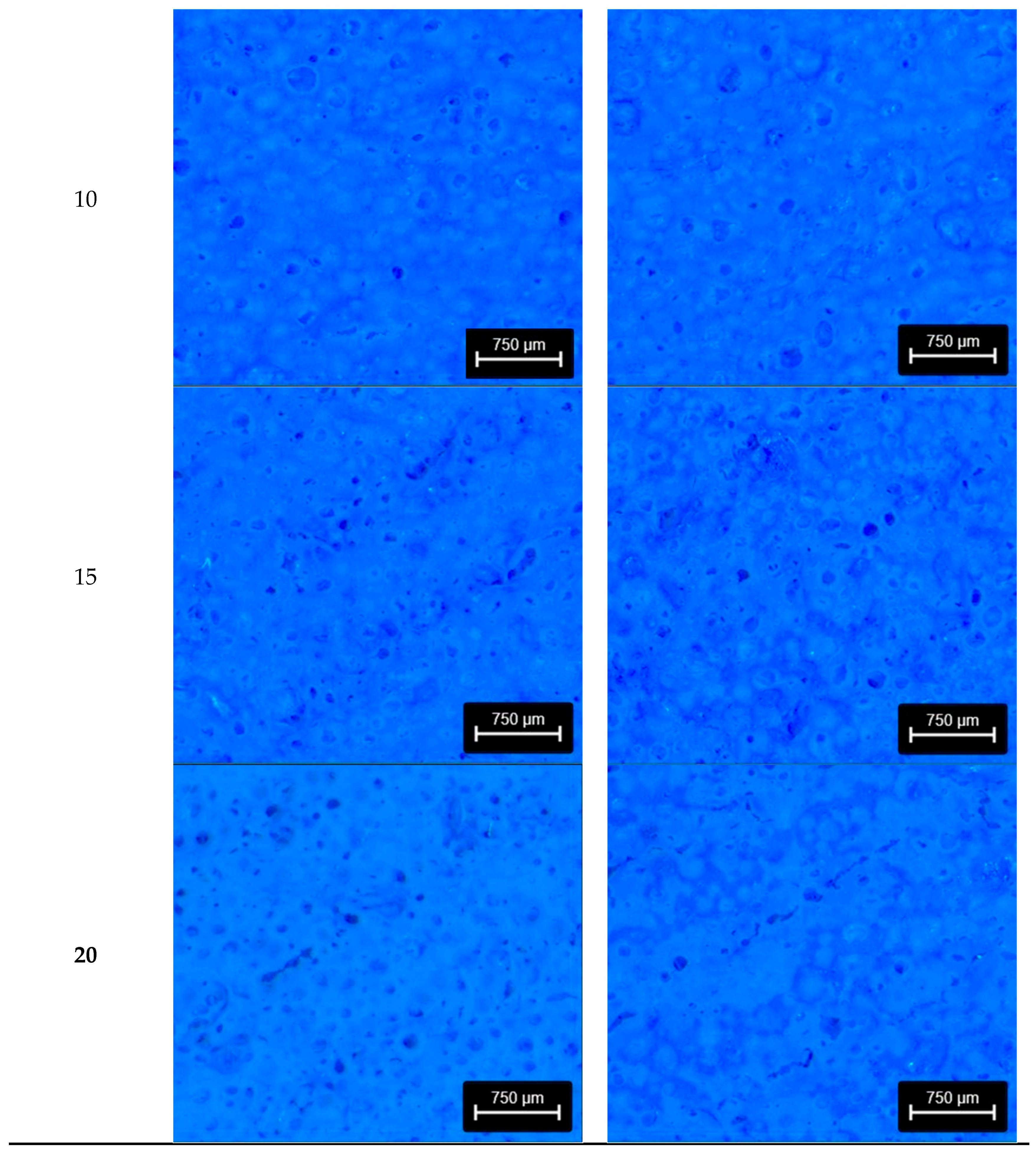 Coatings 15 01278 g001b Coatings 15 01278 g001b