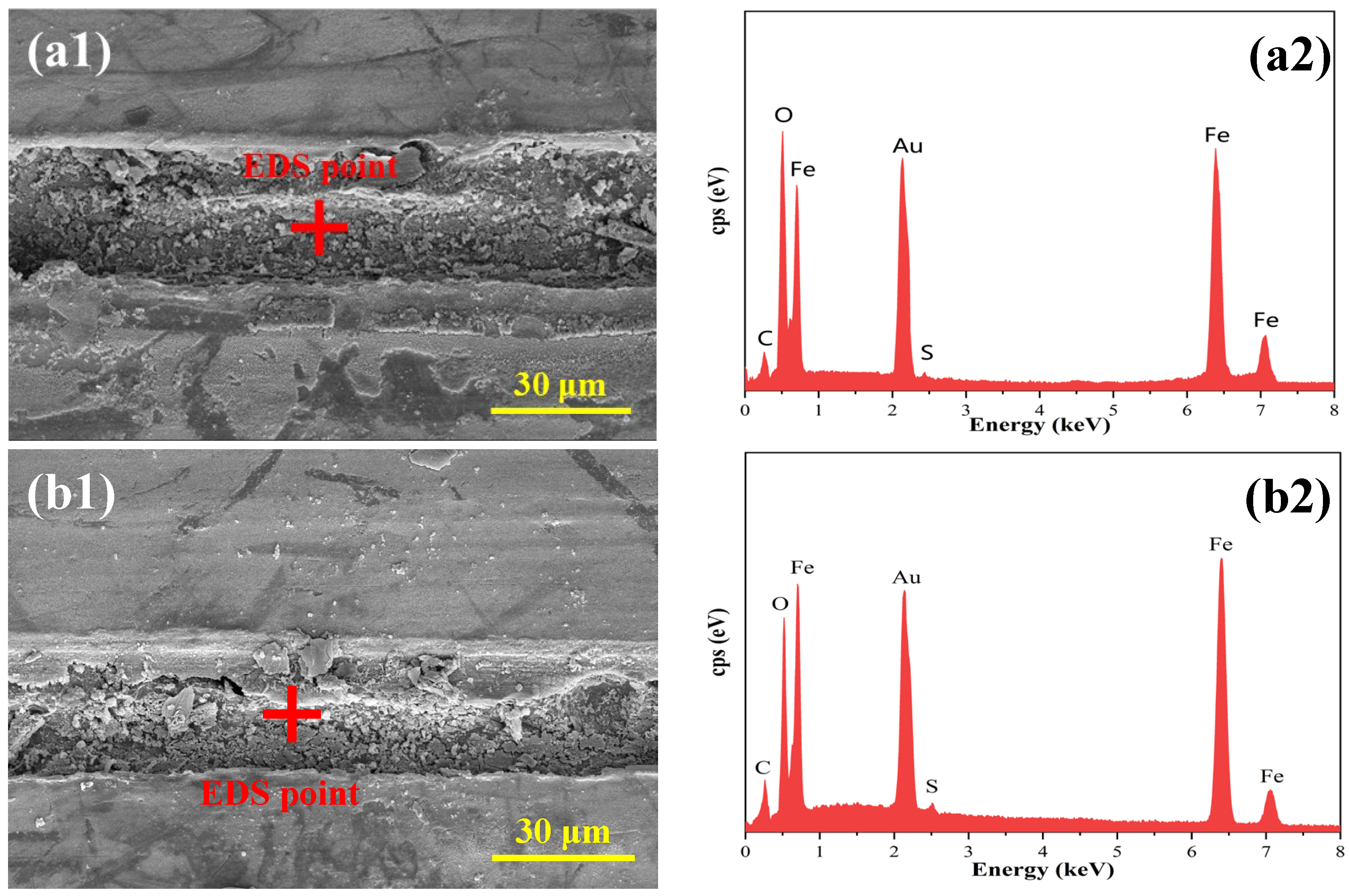 Coatings 15 01281 g011a Coatings 15 01281 g011a