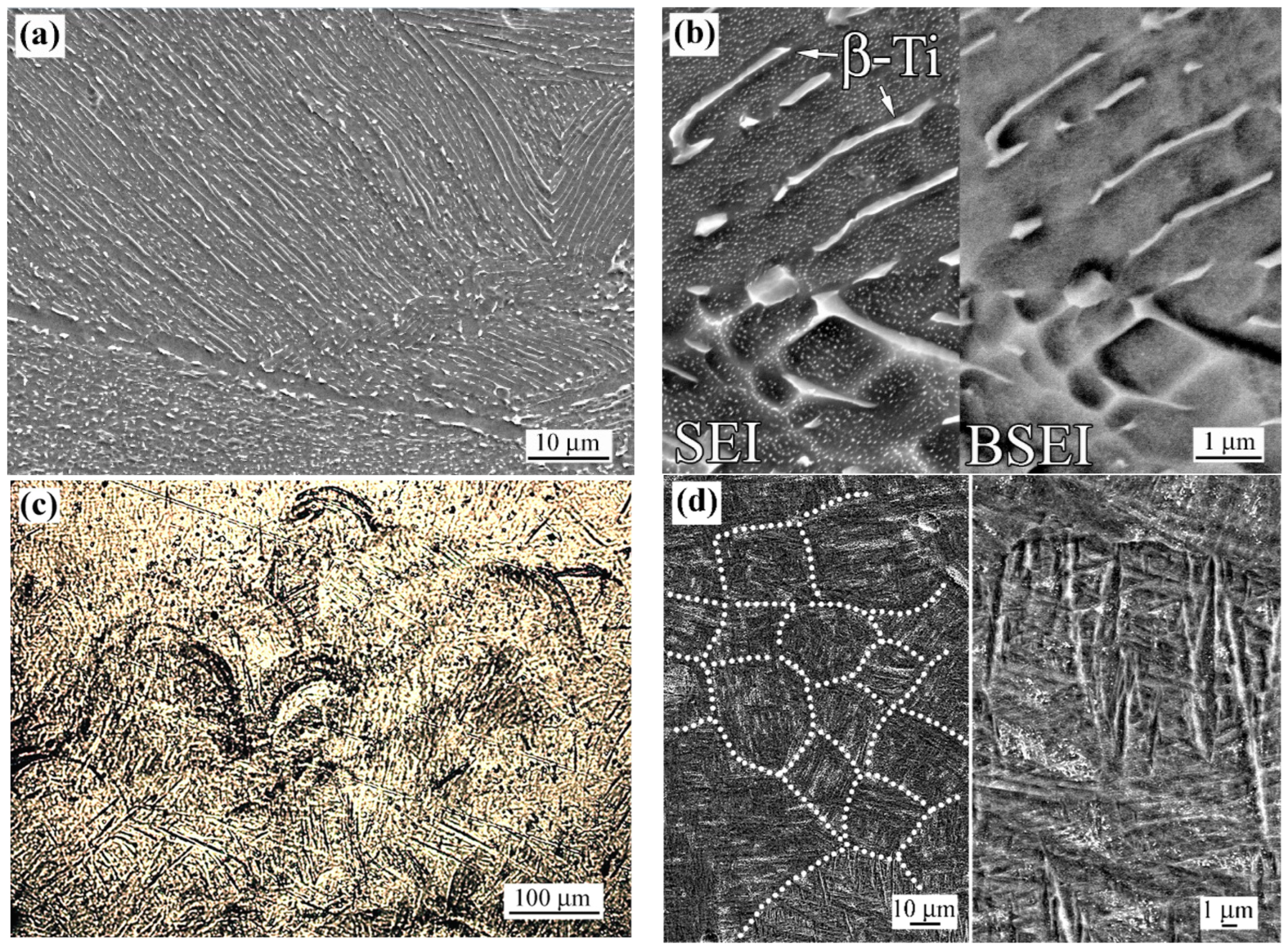 Coatings 15 01285 g001 Coatings 15 01285 g001