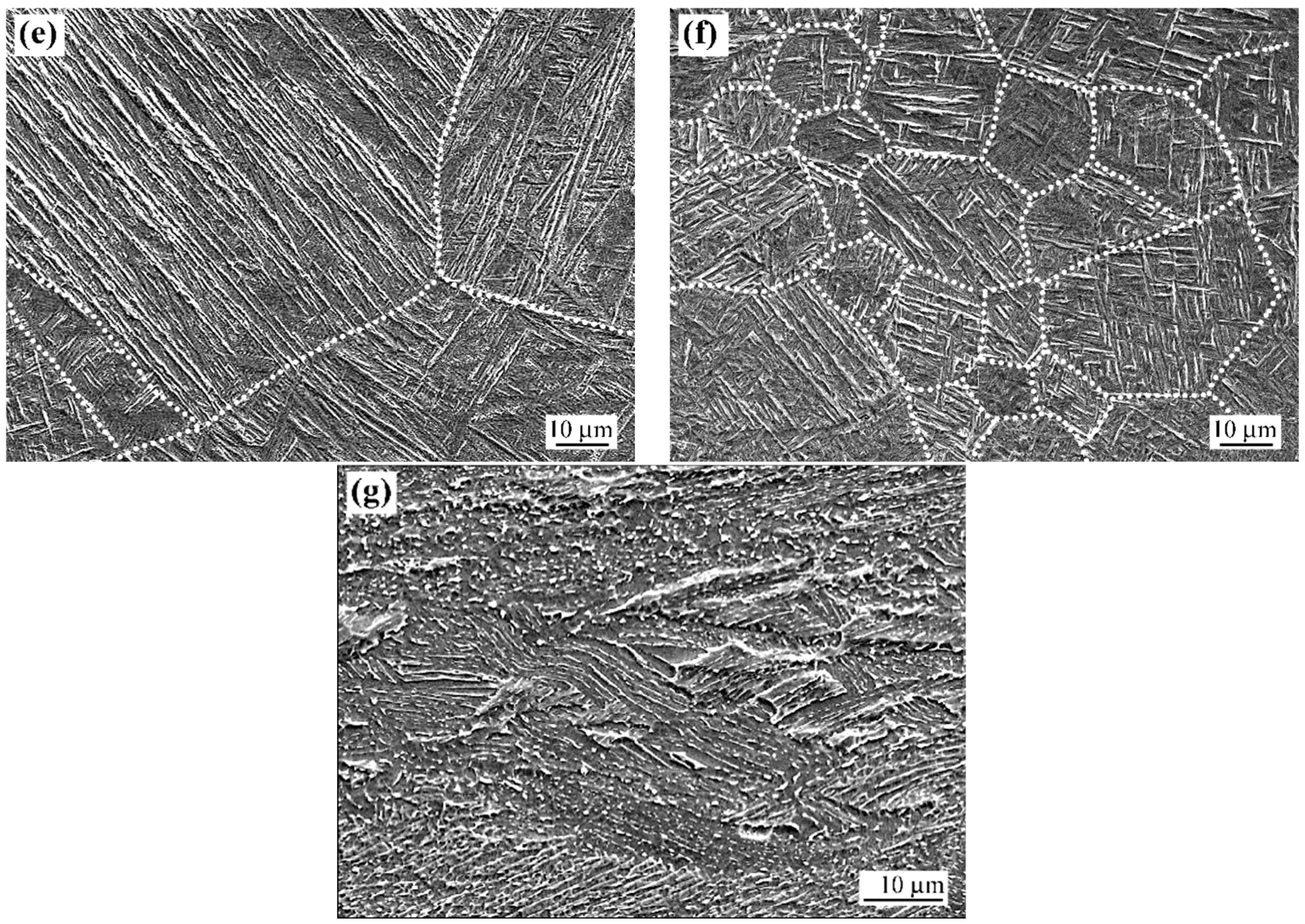 Coatings 15 01285 g003b Coatings 15 01285 g003b