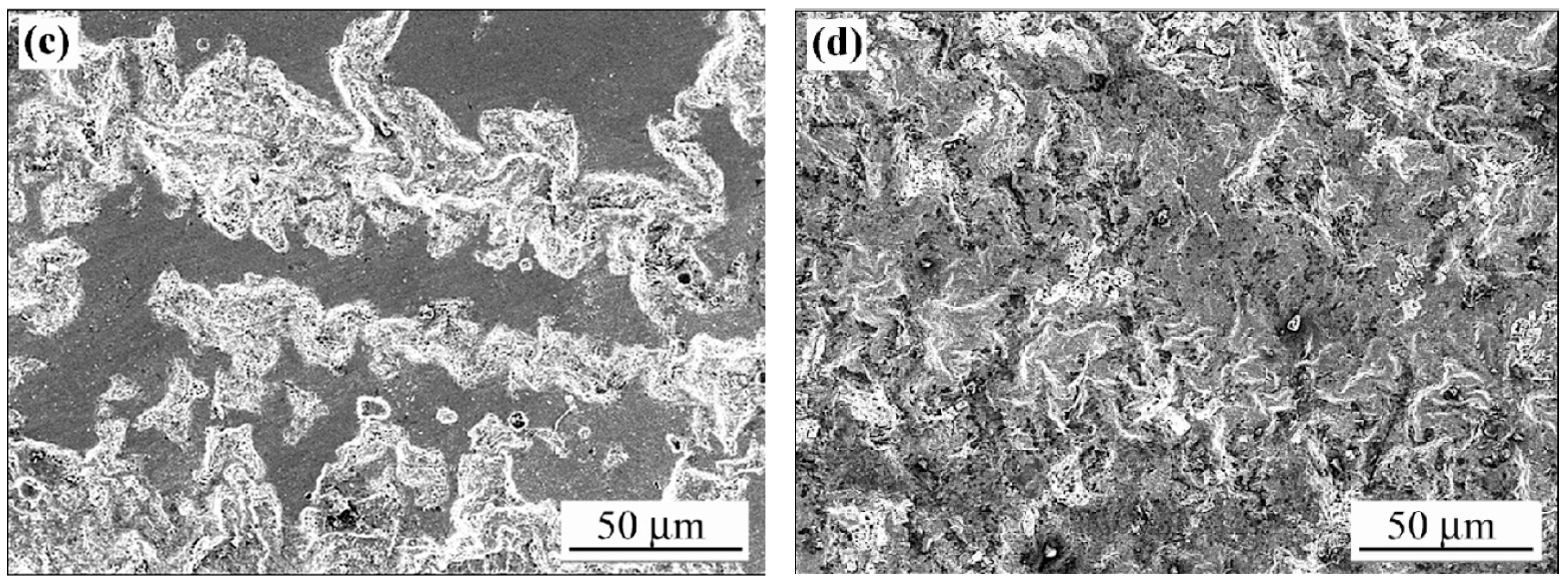 Coatings 15 01285 g010b Coatings 15 01285 g010b