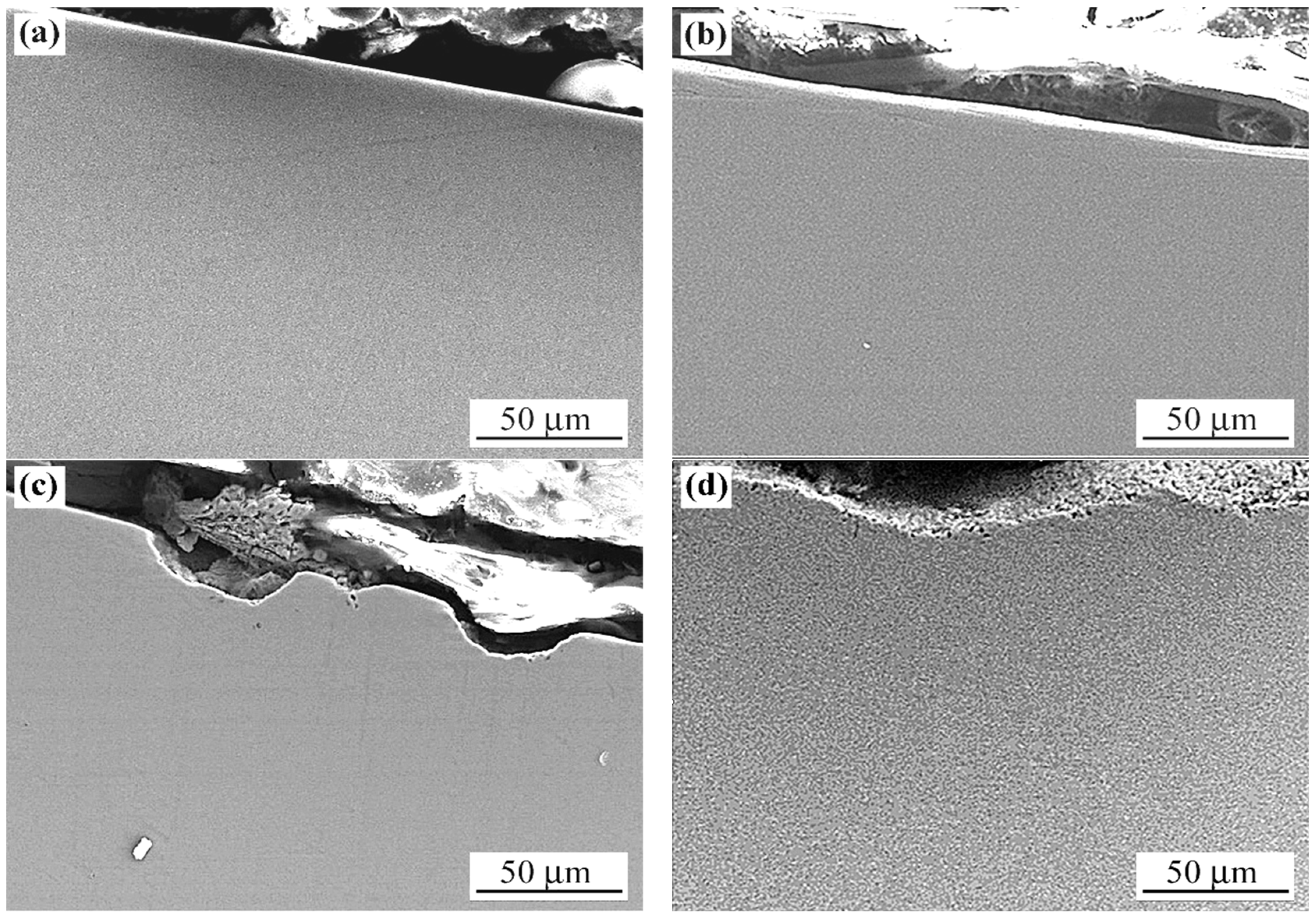 Coatings 15 01285 g011 Coatings 15 01285 g011