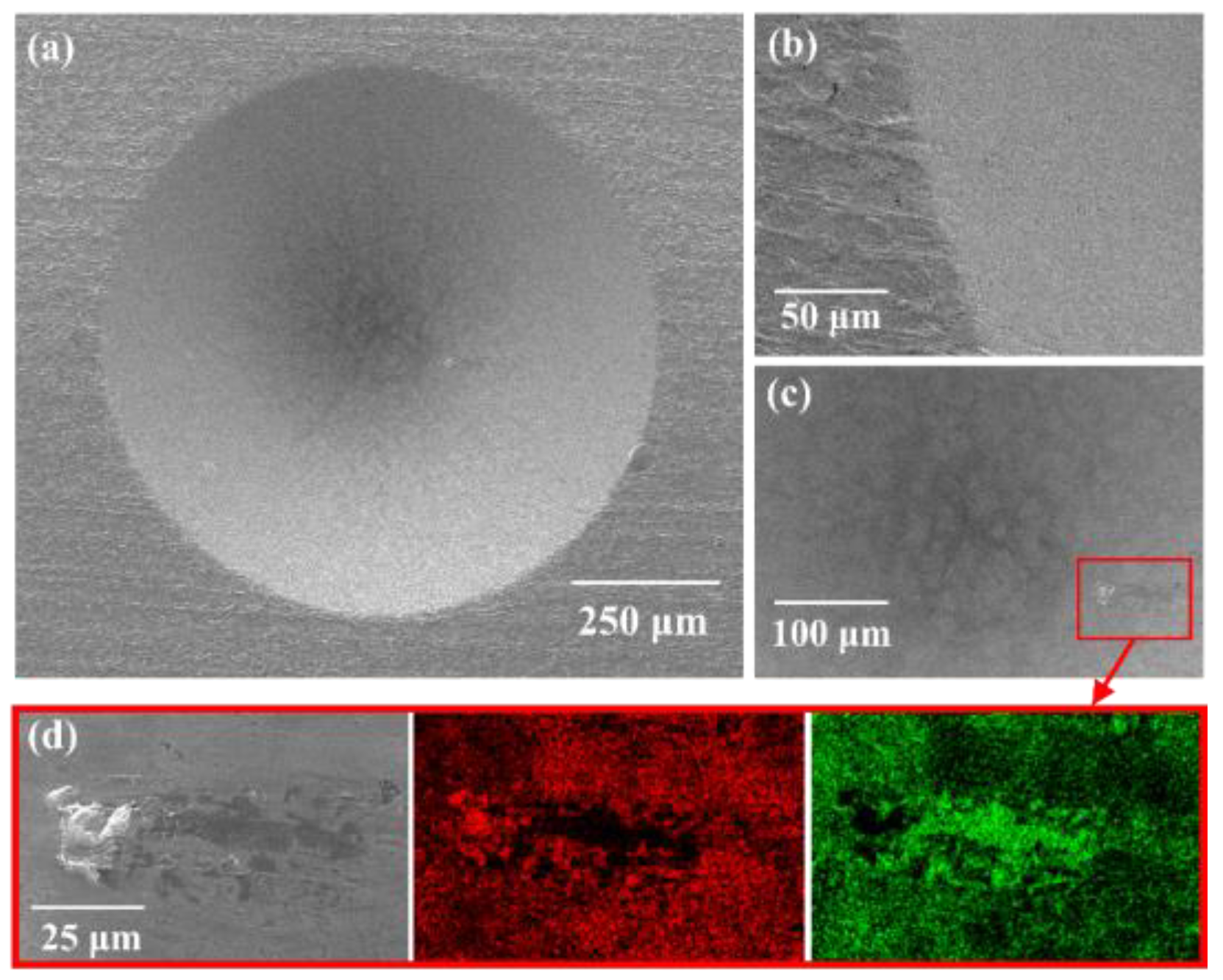 Coatings 15 01286 g005