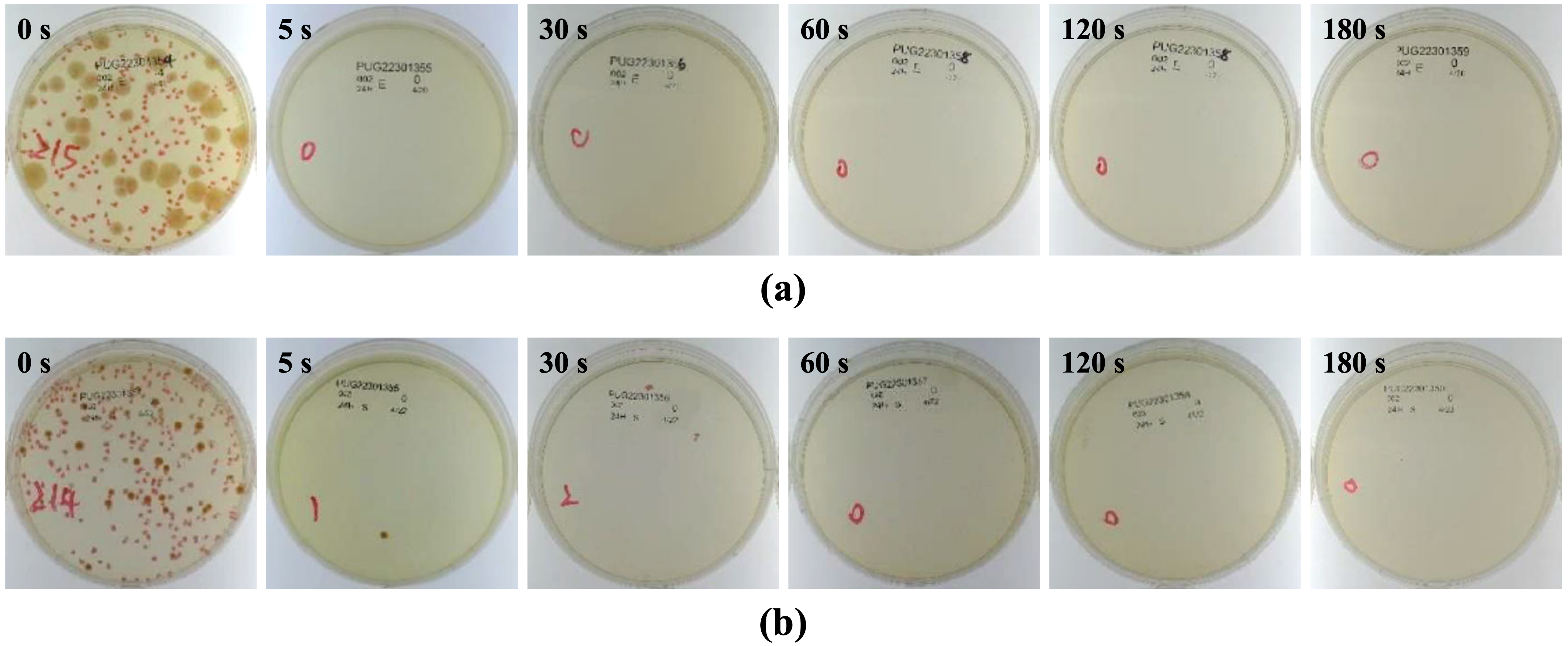 Coatings 15 01286 g006