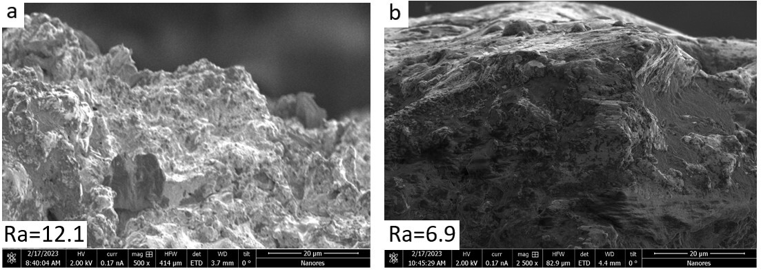 Coatings 15 01291 g003