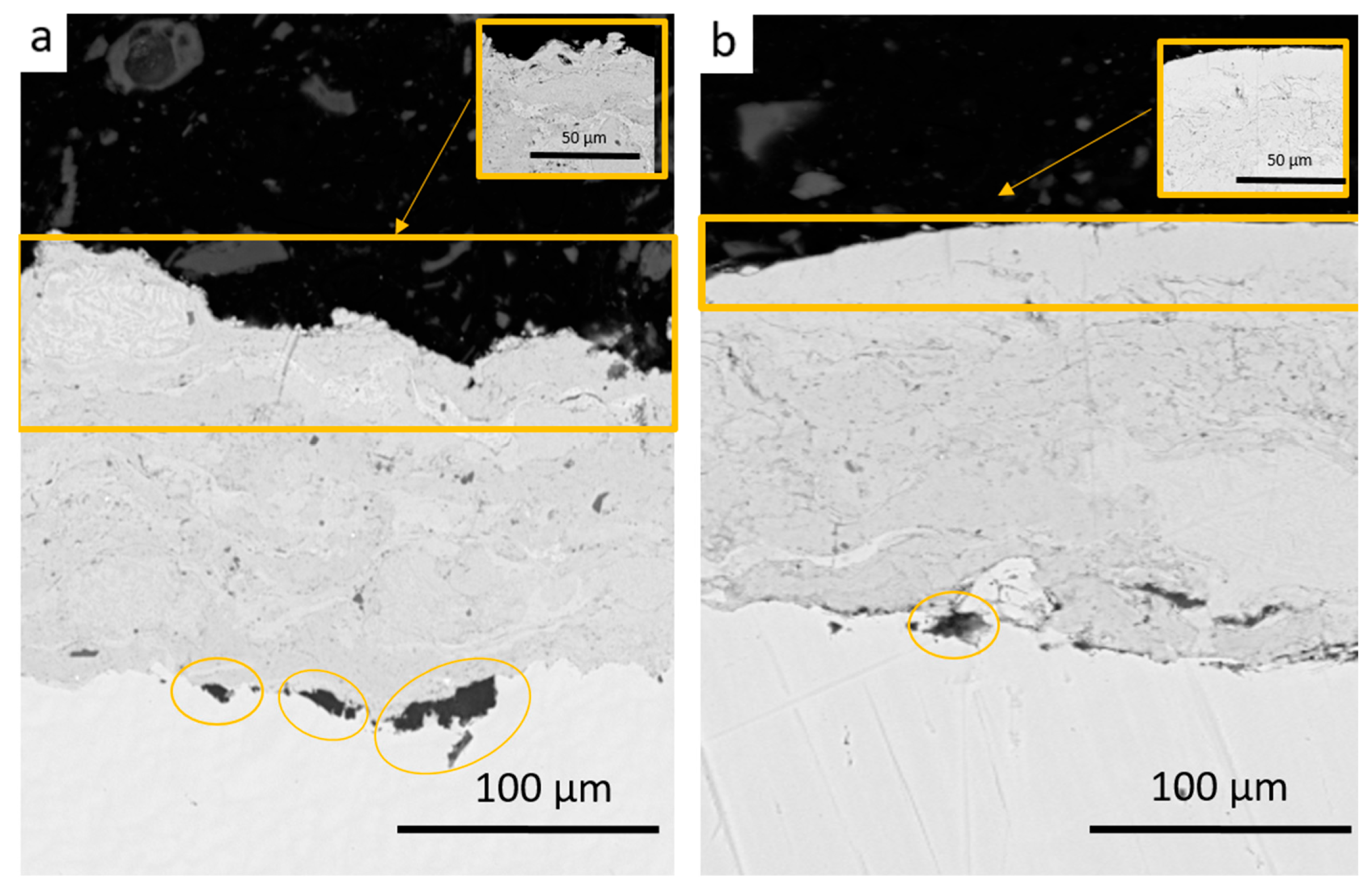 Coatings 15 01291 g005