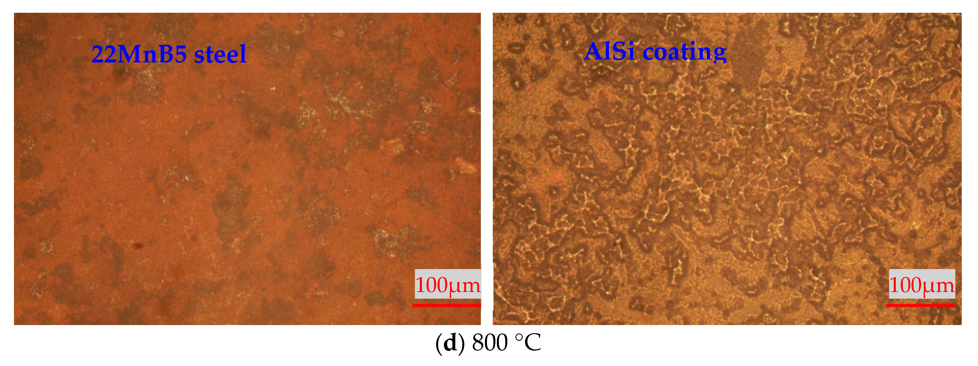 Coatings 15 01296 g002b