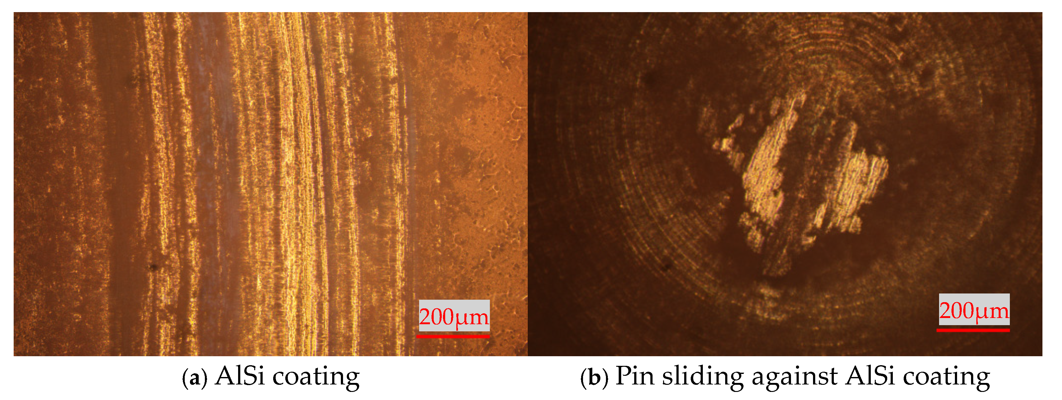 Coatings 15 01296 g009a