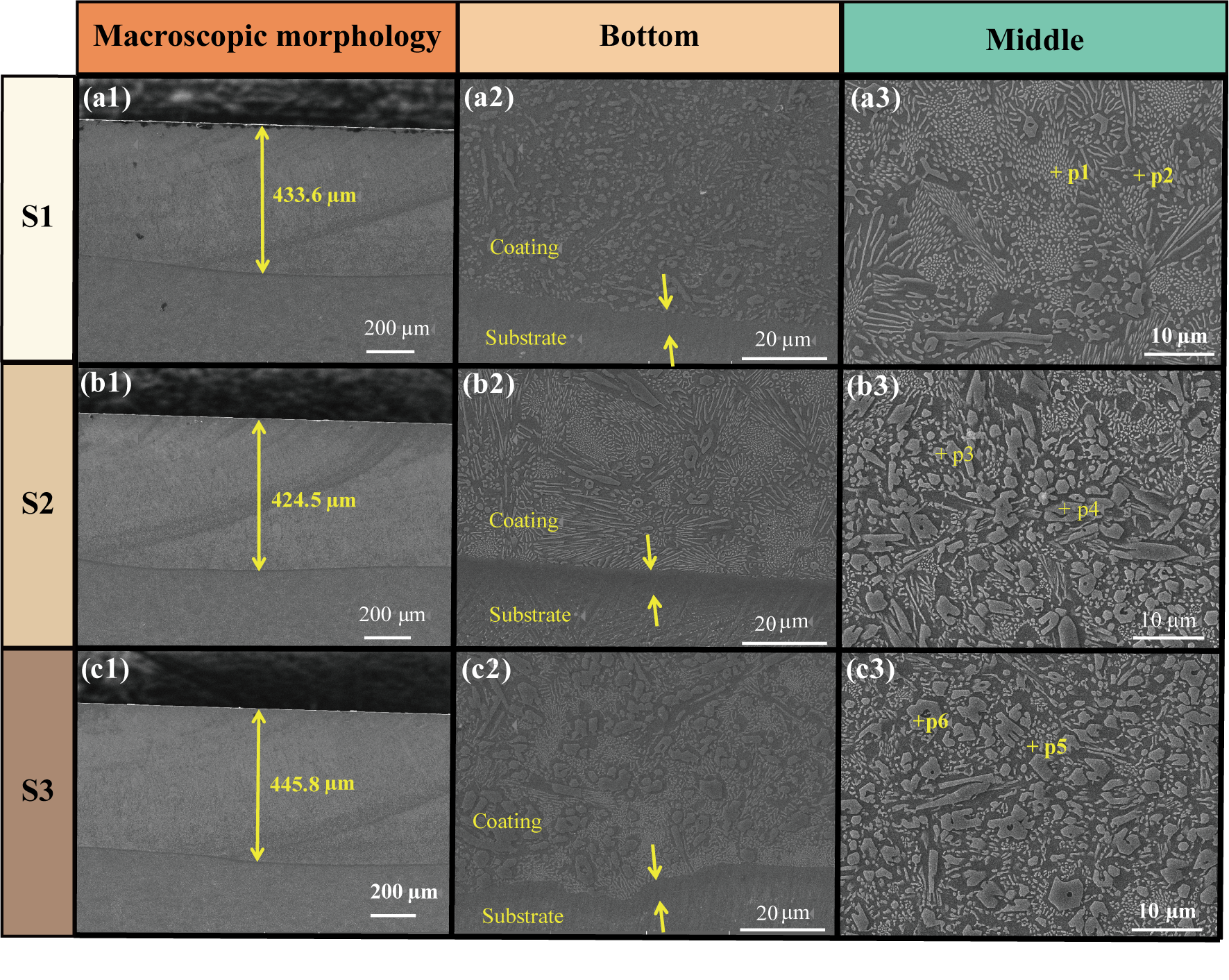 Coatings 15 01297 g004 Coatings 15 01297 g004