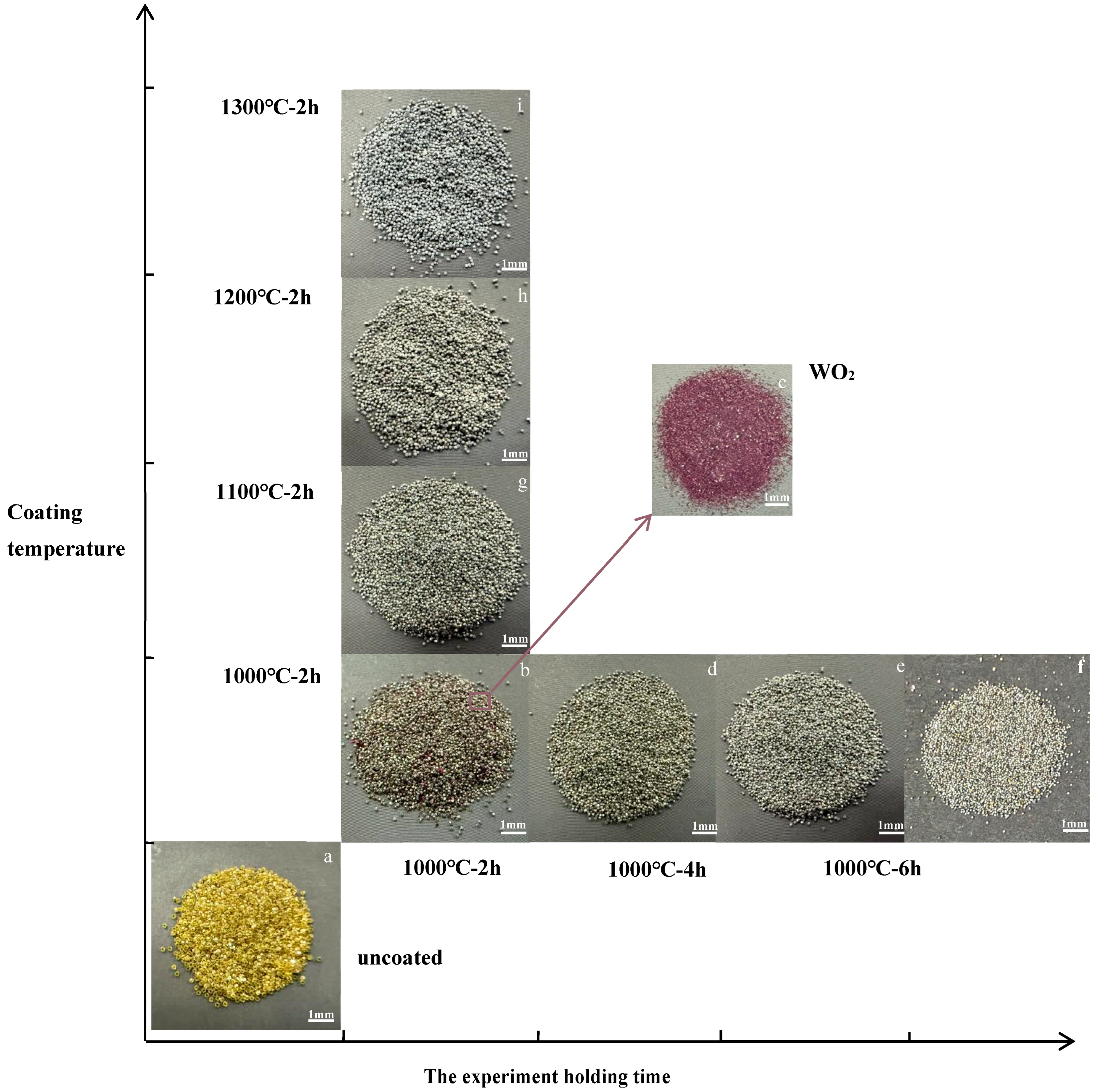 Coatings 15 01298 g001 Coatings 15 01298 g001