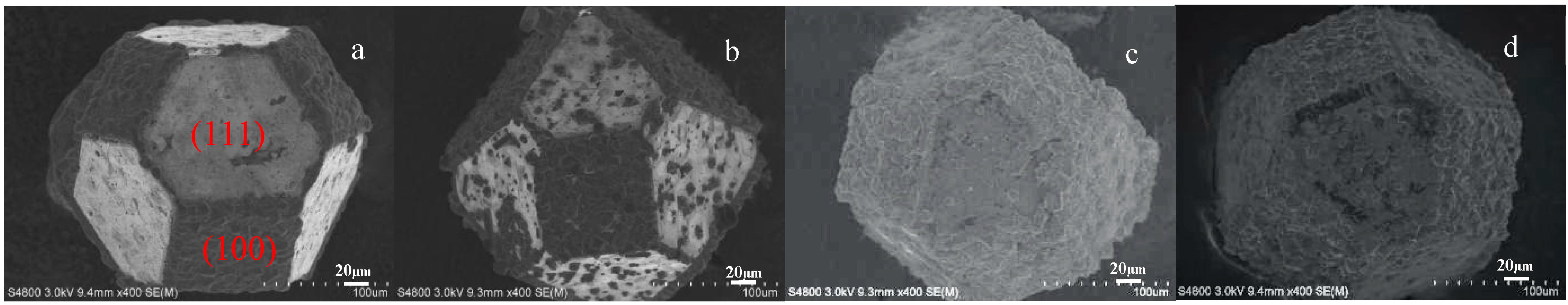 Coatings 15 01298 g004 Coatings 15 01298 g004