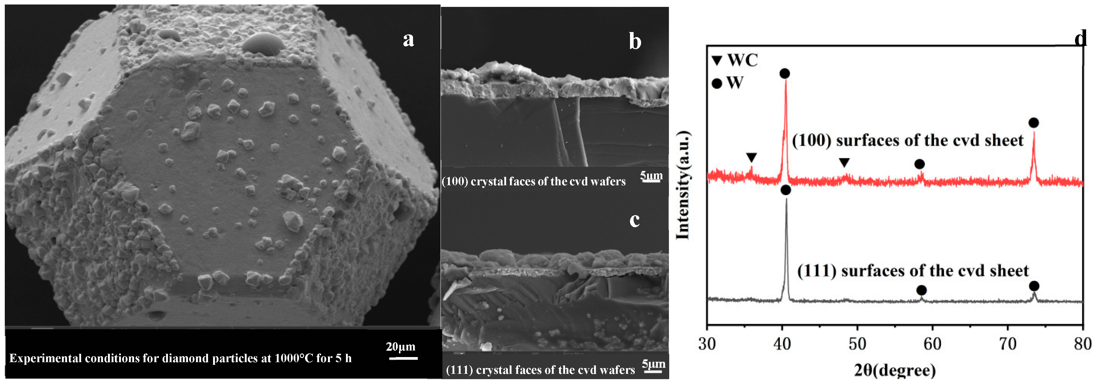 Coatings 15 01298 g005 Coatings 15 01298 g005