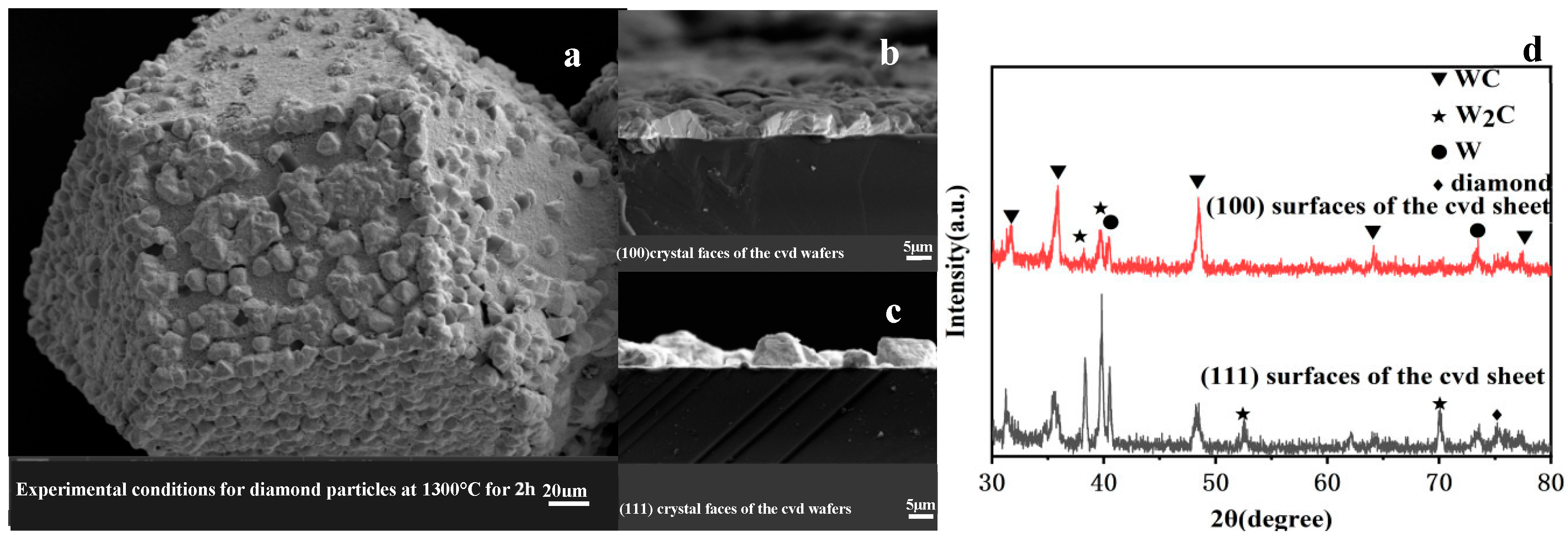 Coatings 15 01298 g006 Coatings 15 01298 g006